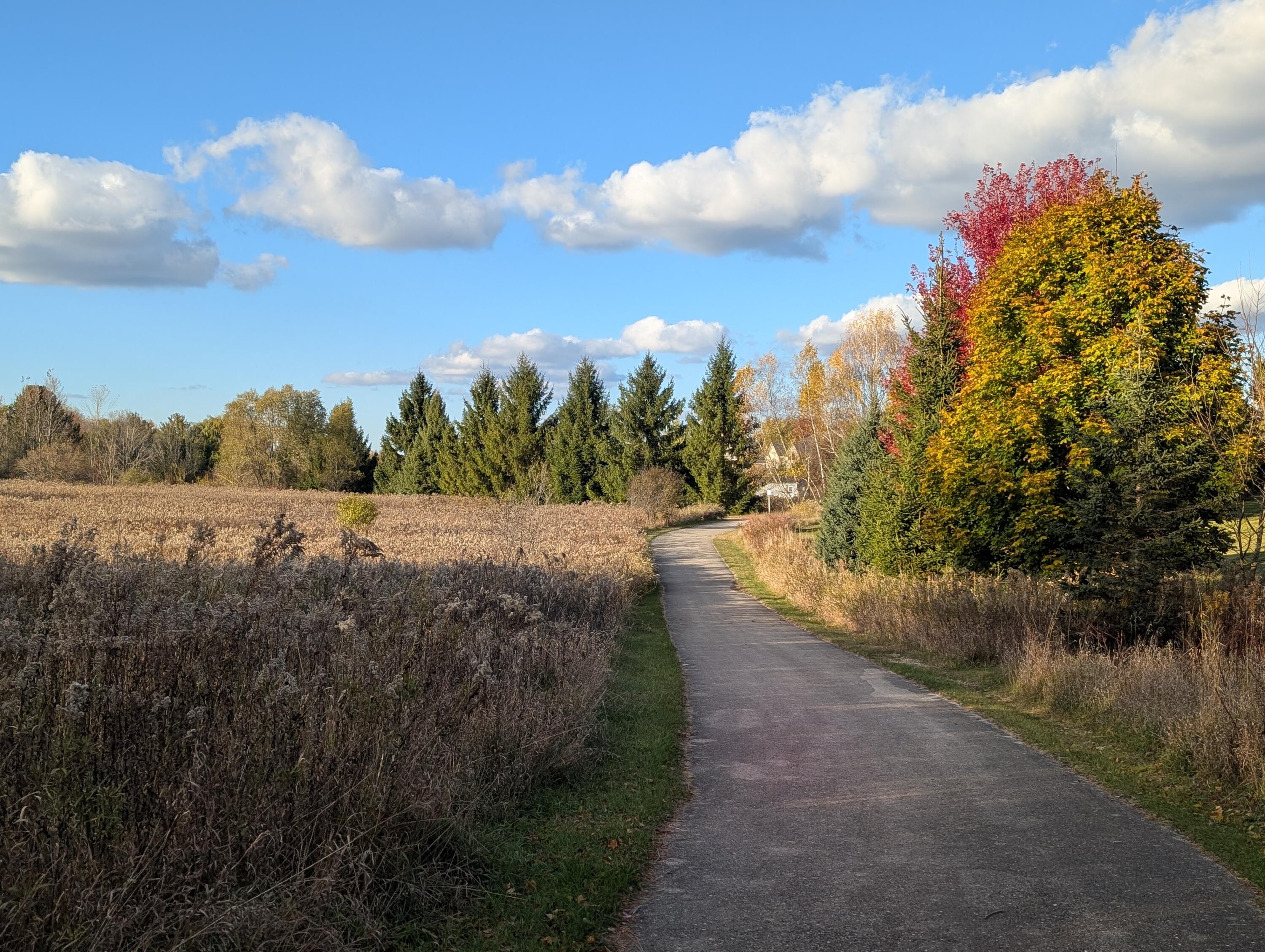 1339 Cedar Creek Pkwy