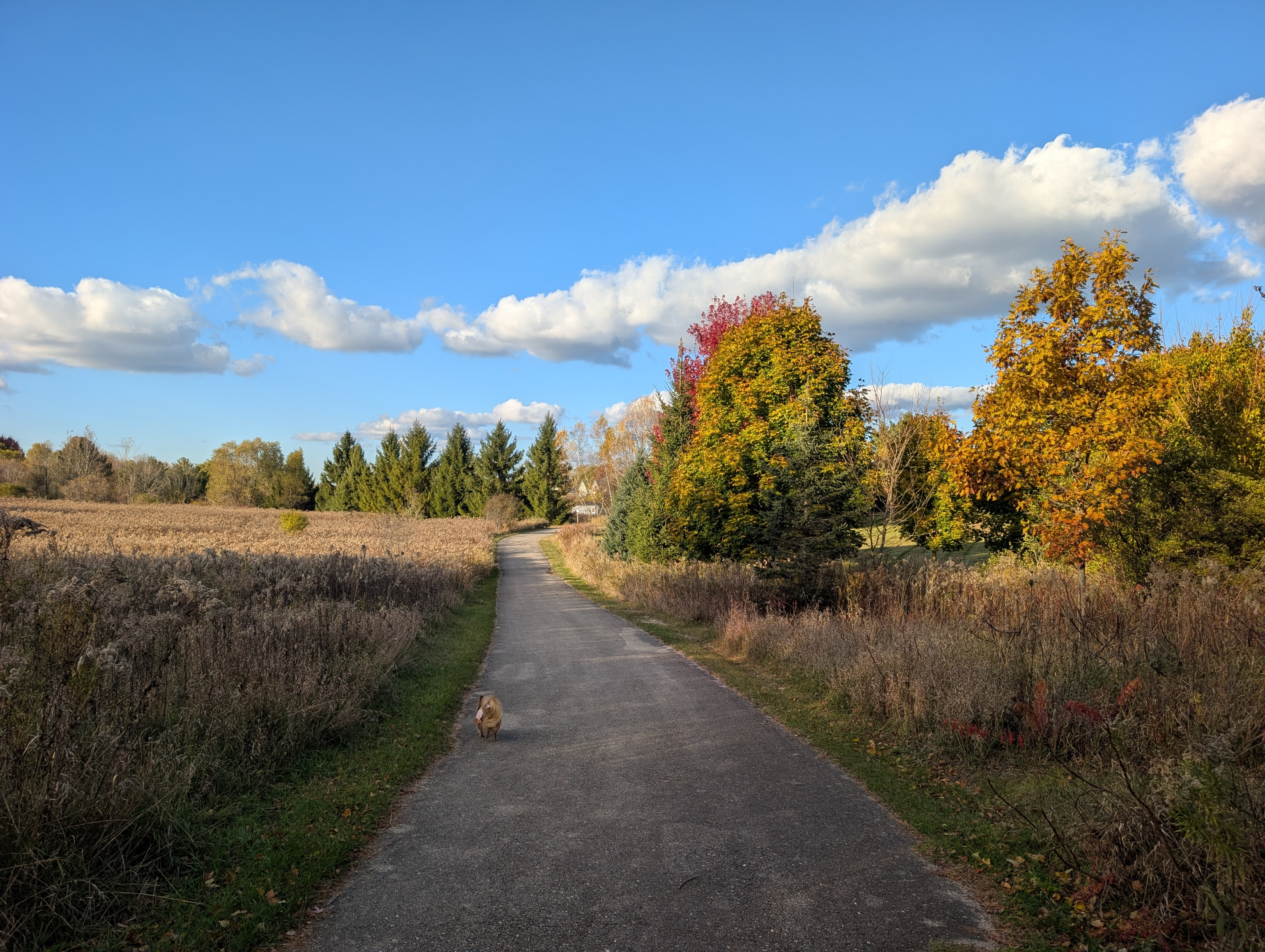 1339 Cedar Creek Pkwy