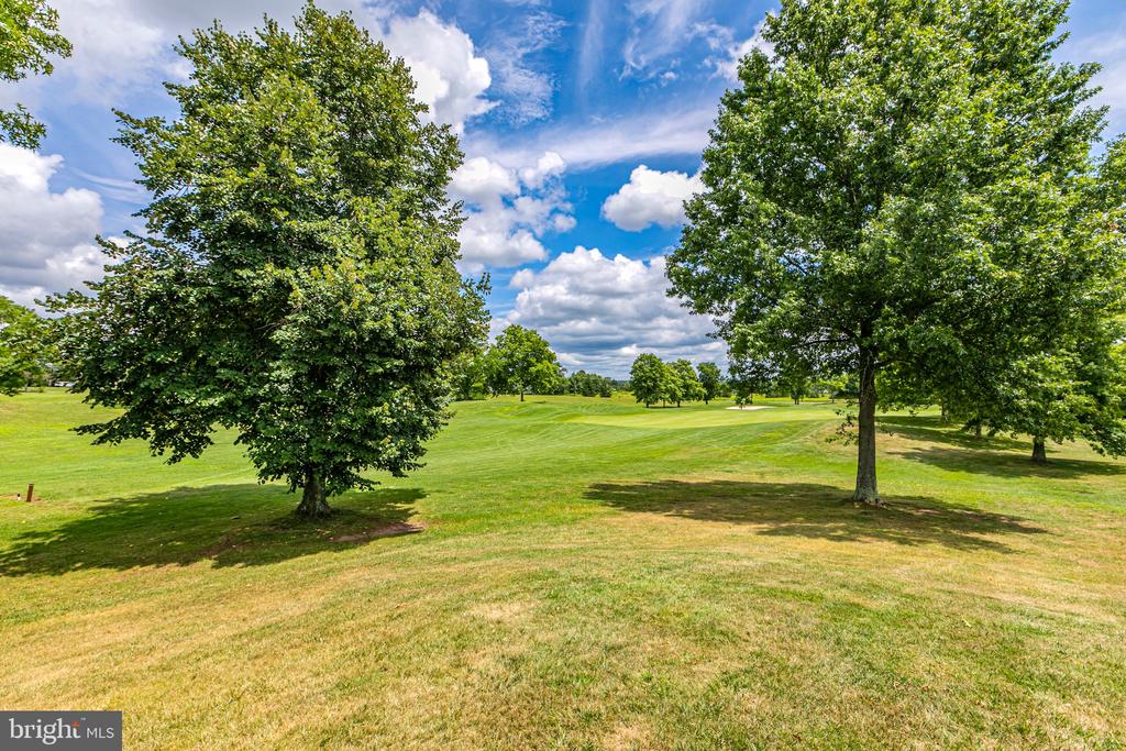 19 Spyglass Rd