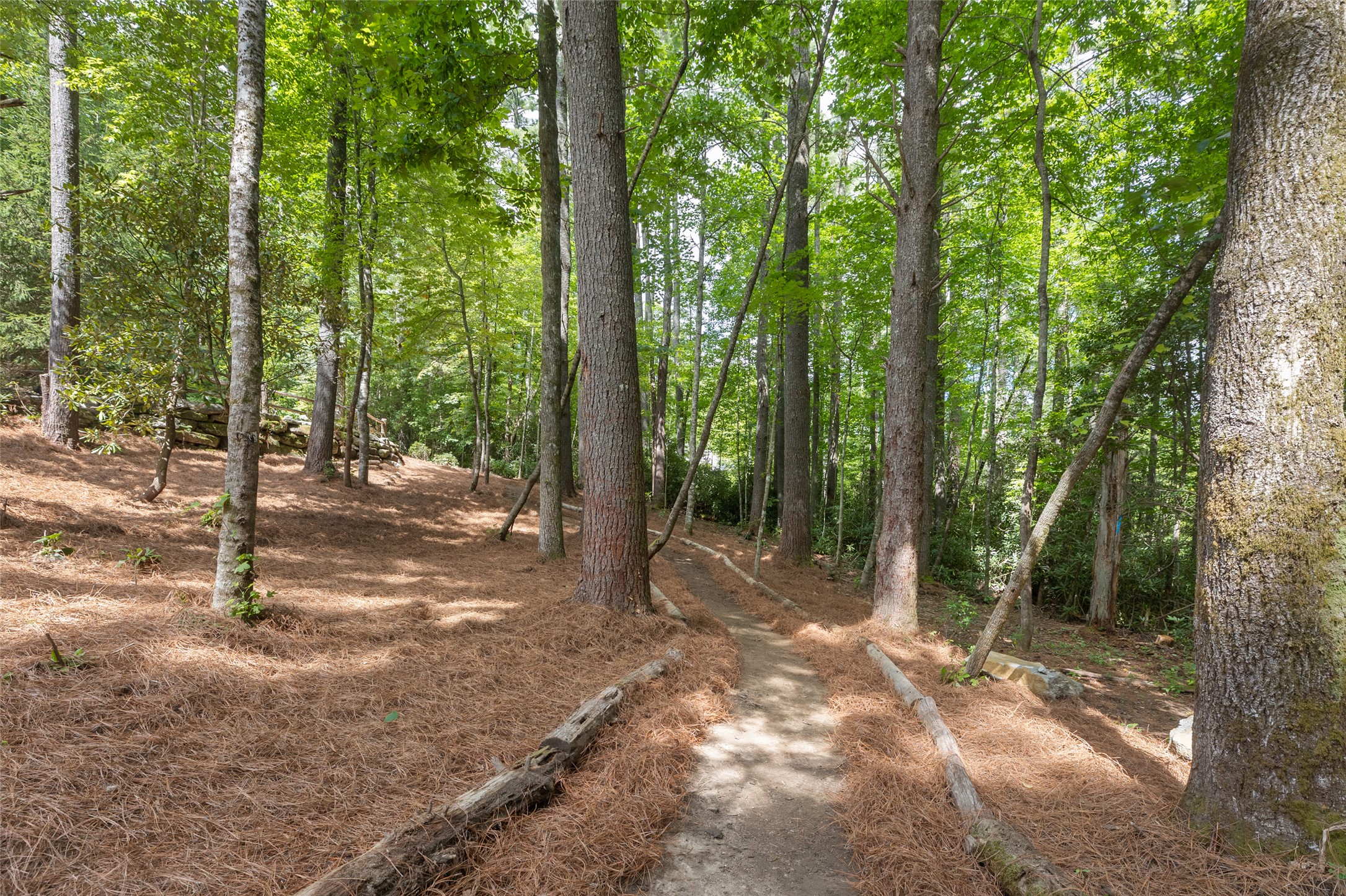 288 Cherokee View