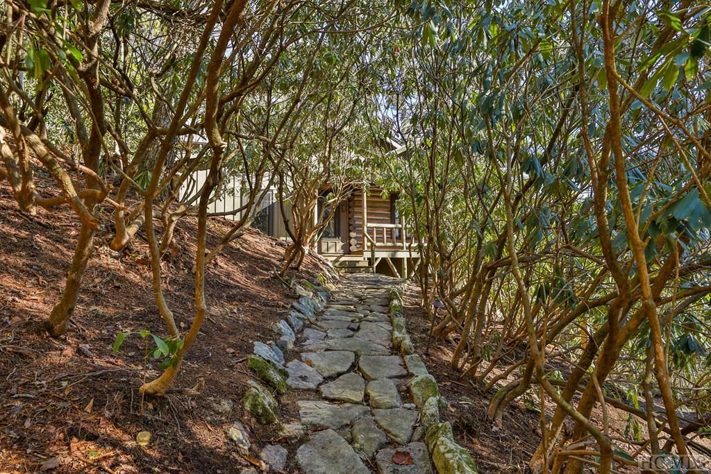 159 Webb Branch Road