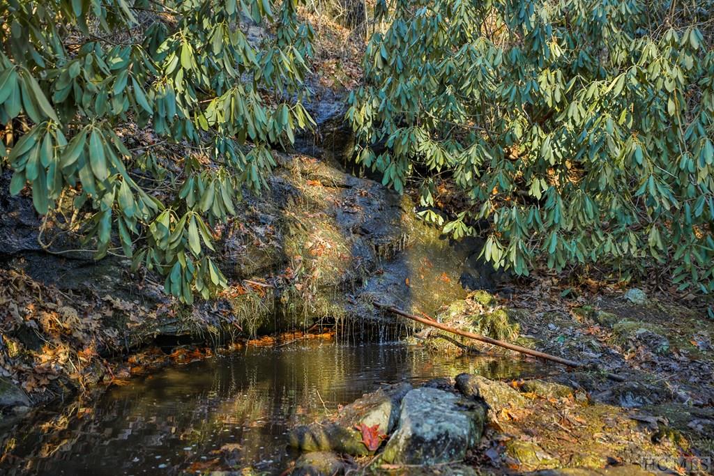 159 Webb Branch Road