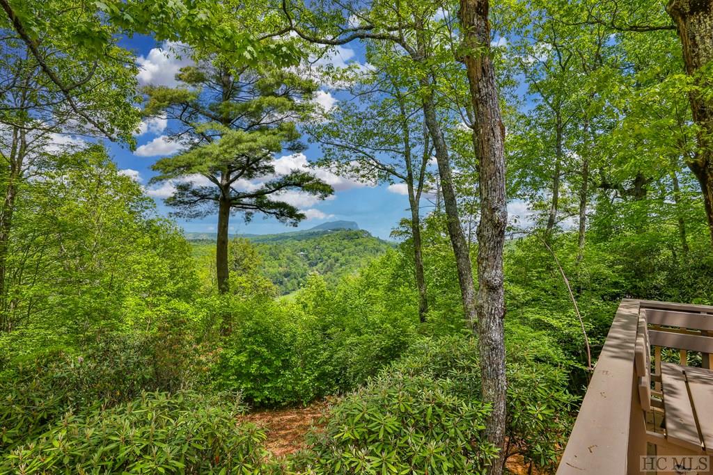 194 Big Bear Pen Lane