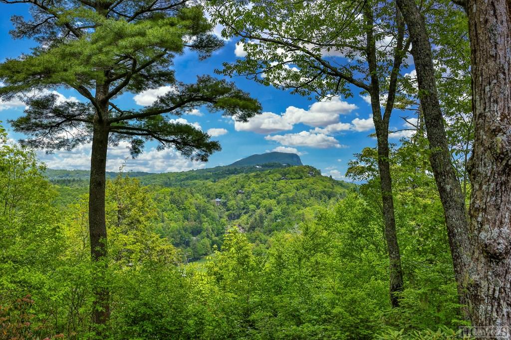 194 Big Bear Pen Lane