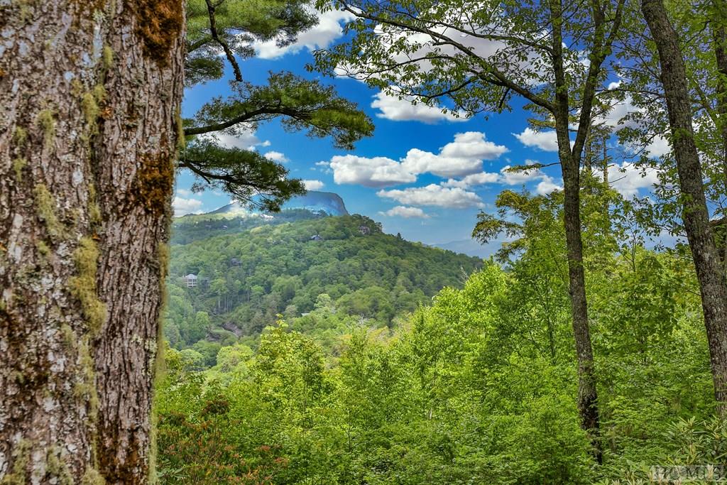 194 Big Bear Pen Lane