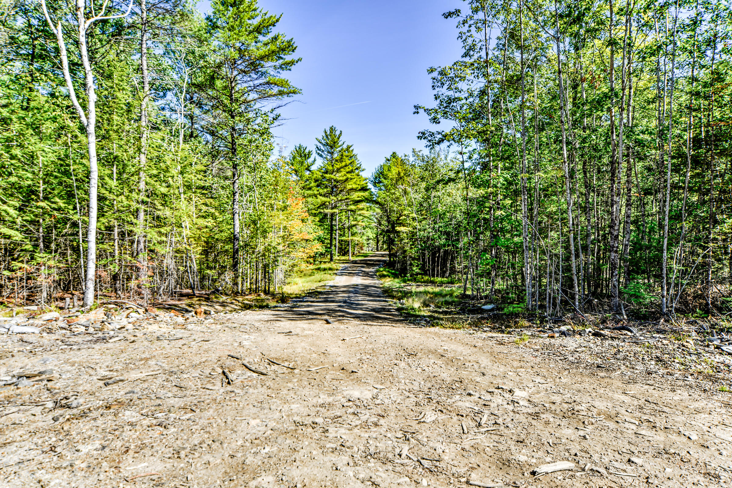 0 White Road