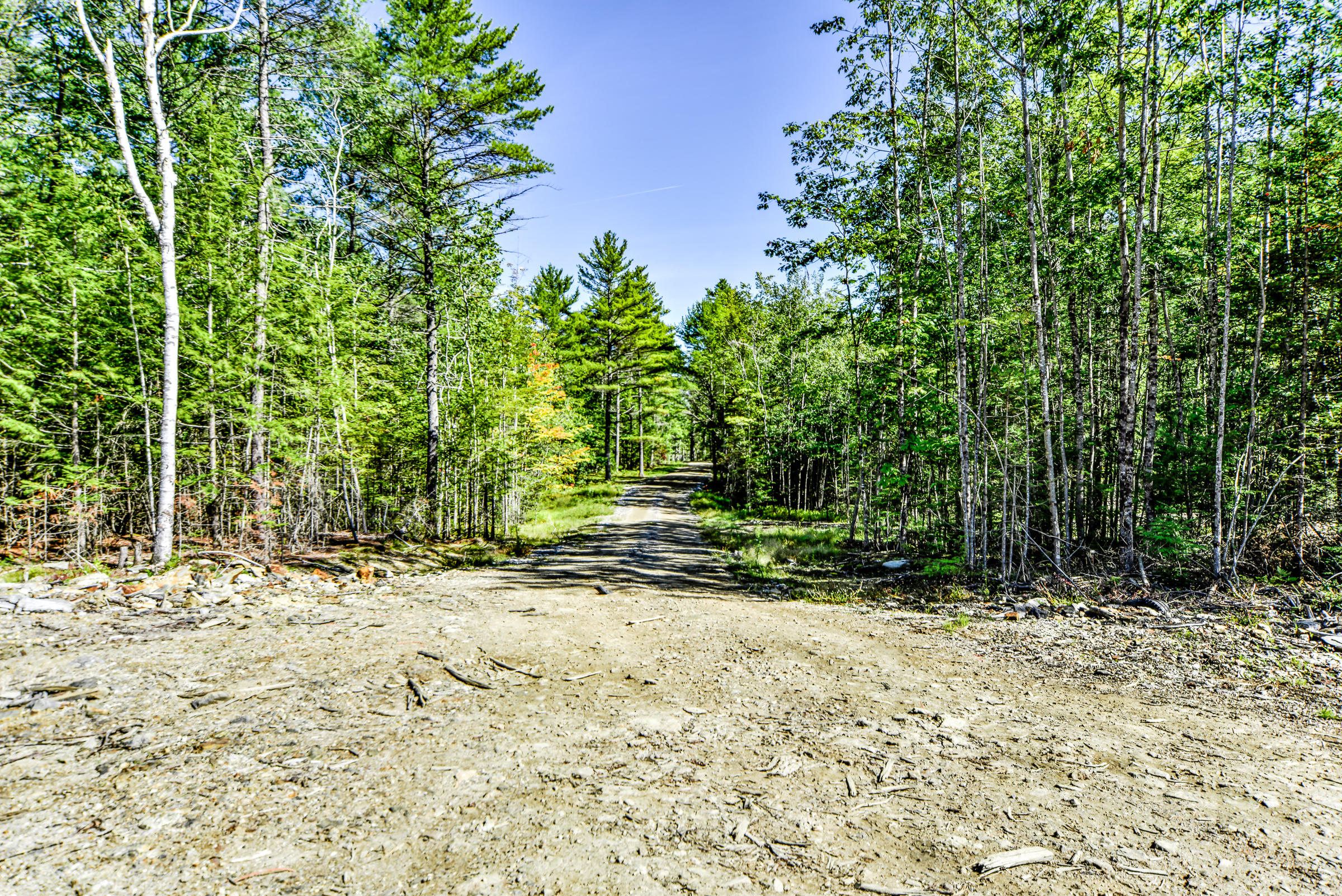 0 White Road