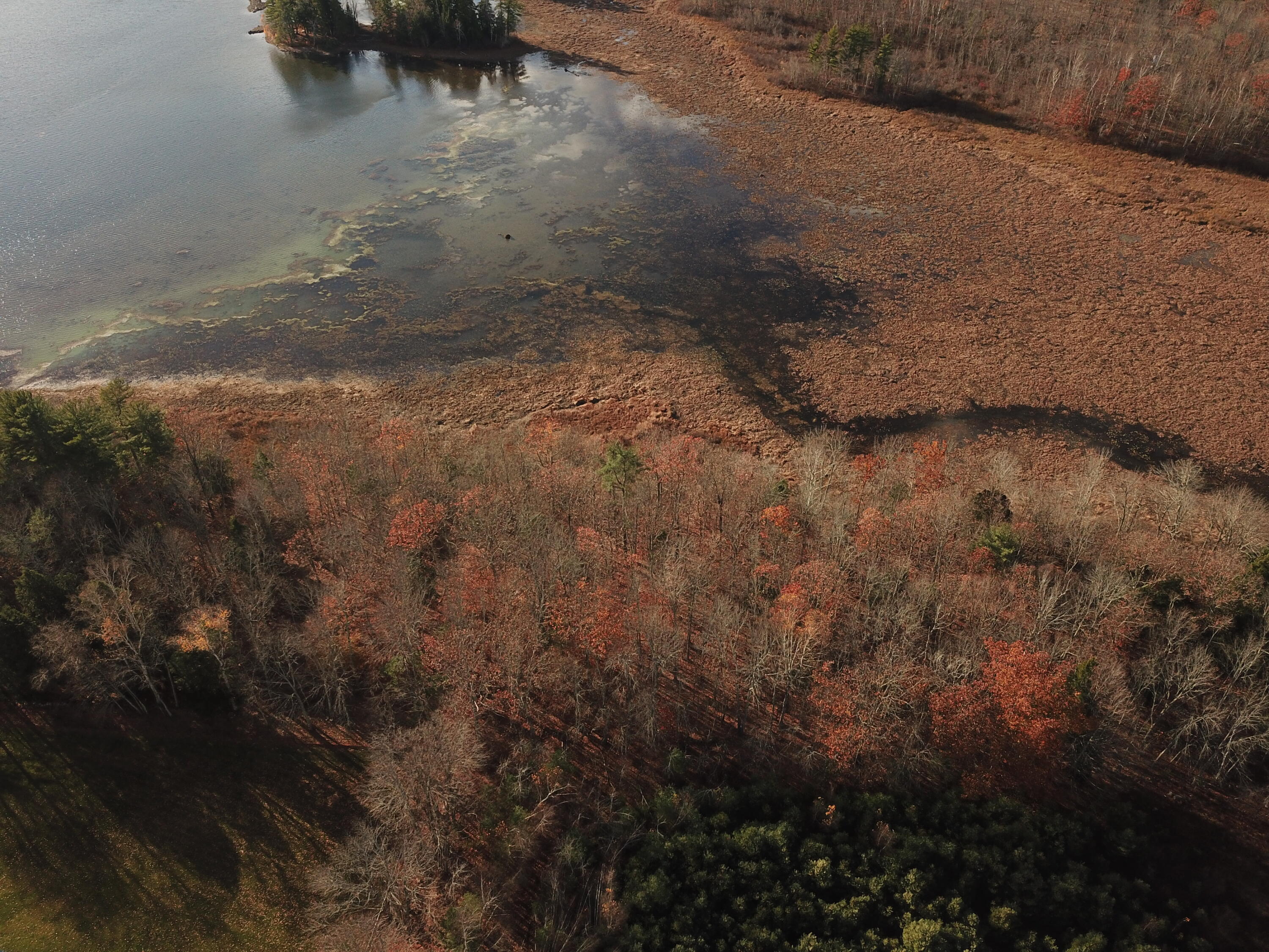 Lot 84 Lindholm Lane