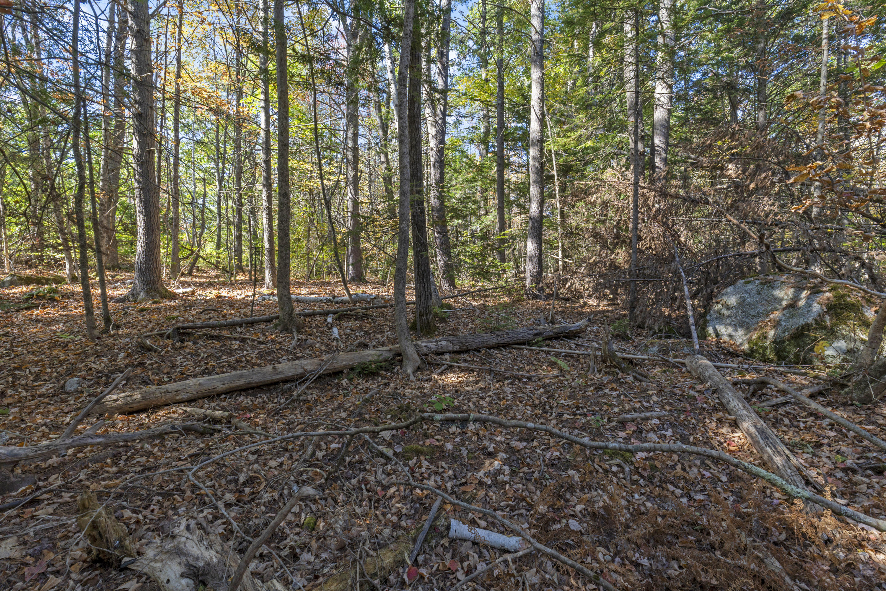 215 Ward Road