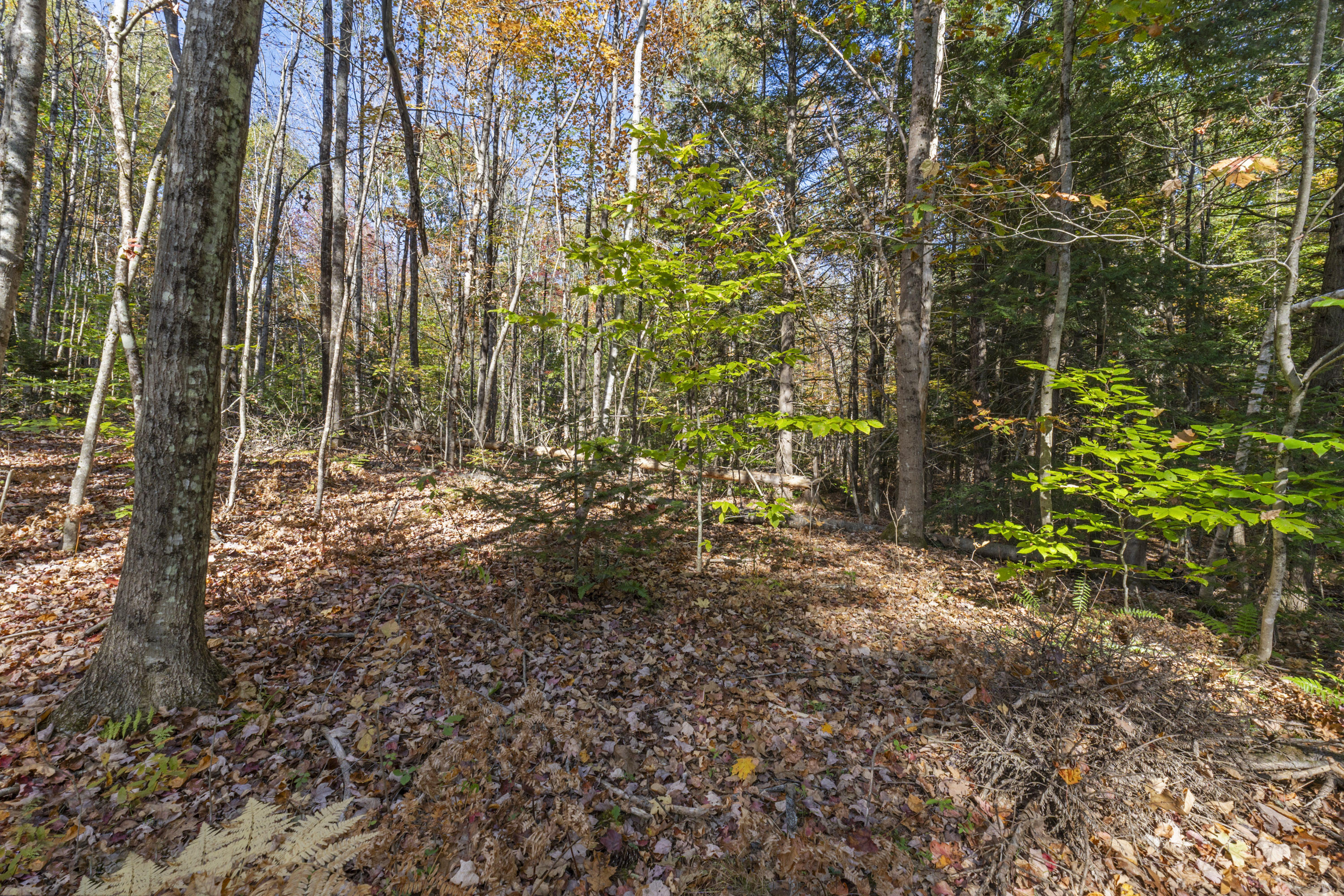215 Ward Road
