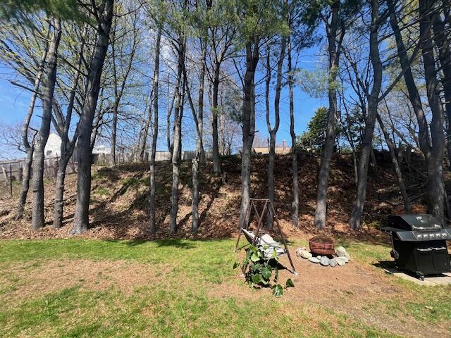 48 Dumont Avenue