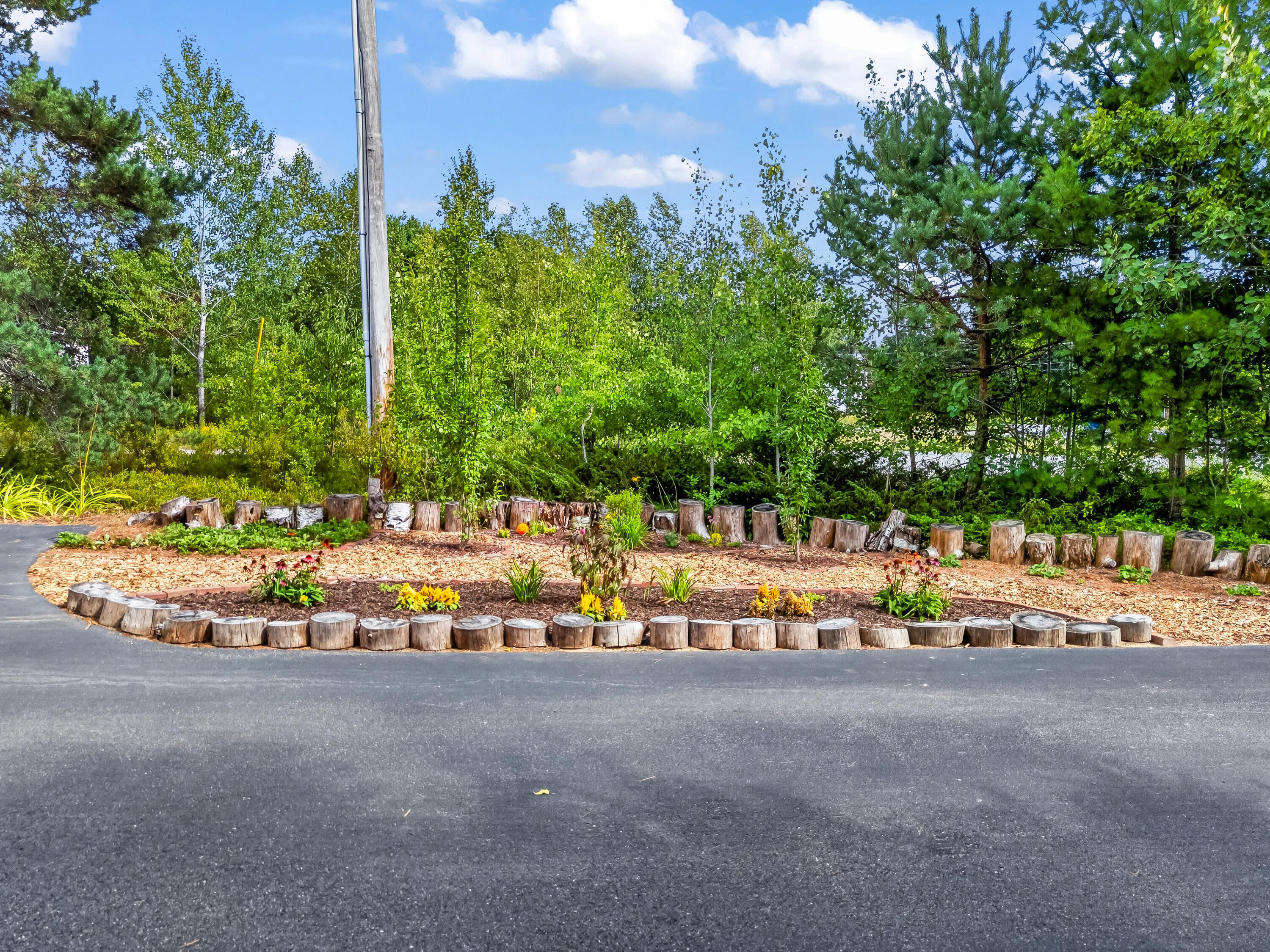Garden bed edged with cut logs and flowers beside a paved driveway.