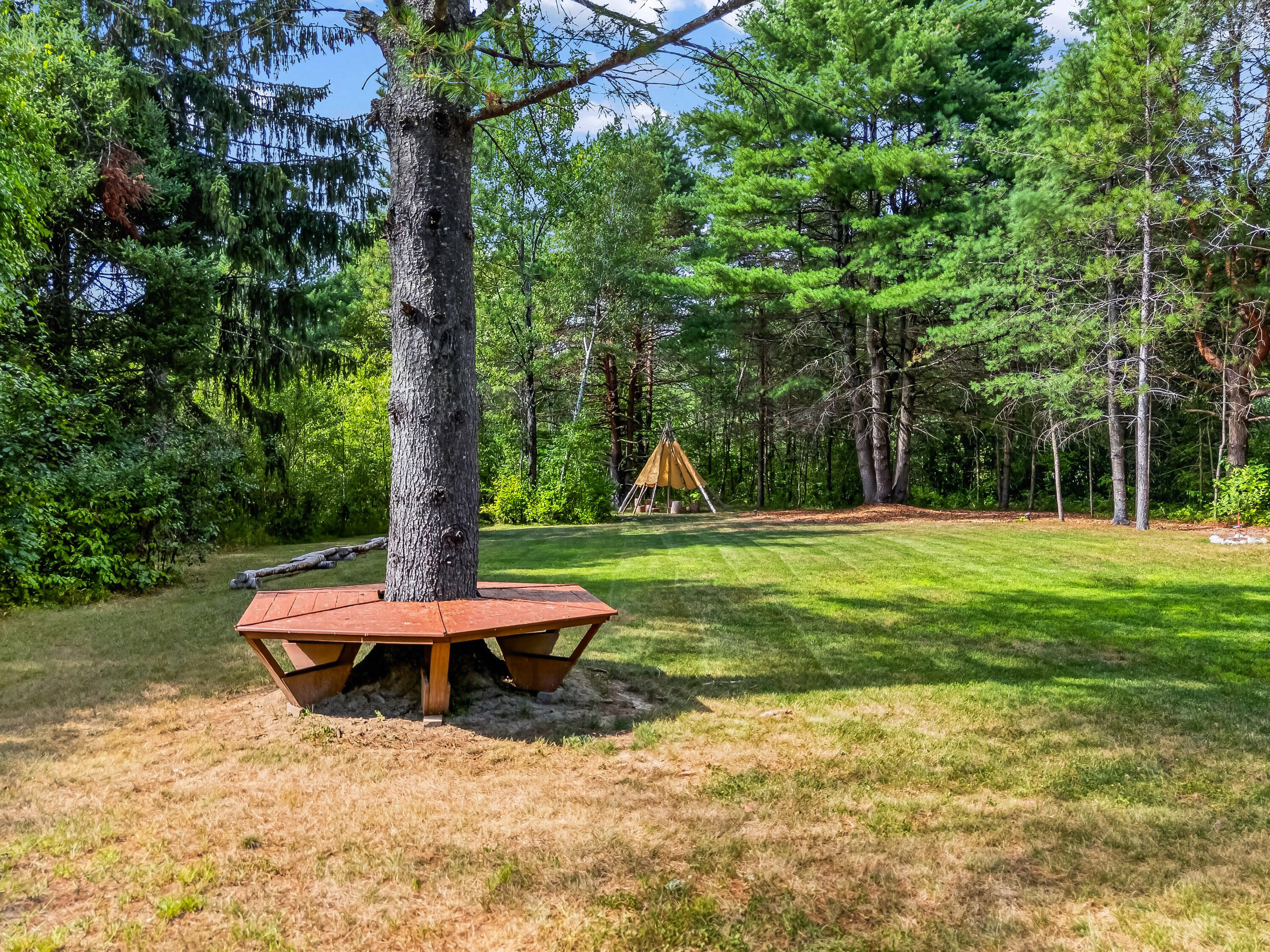 Wooded backyard with a circular bench around a large tree and a yellow tent.