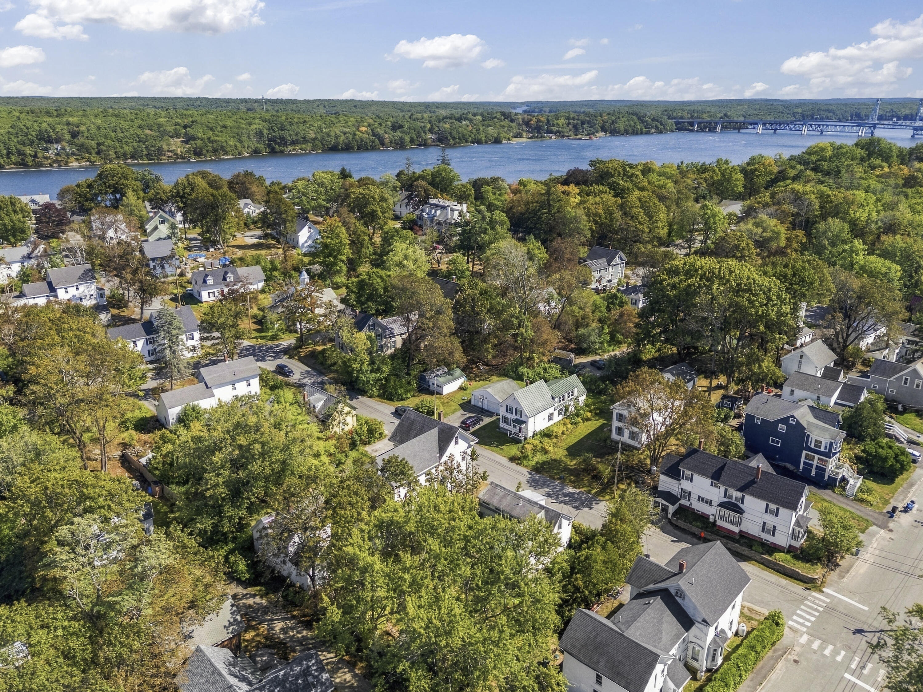 Aerial view of a leafy Bath neighborhood beside a wide river and bridge.
