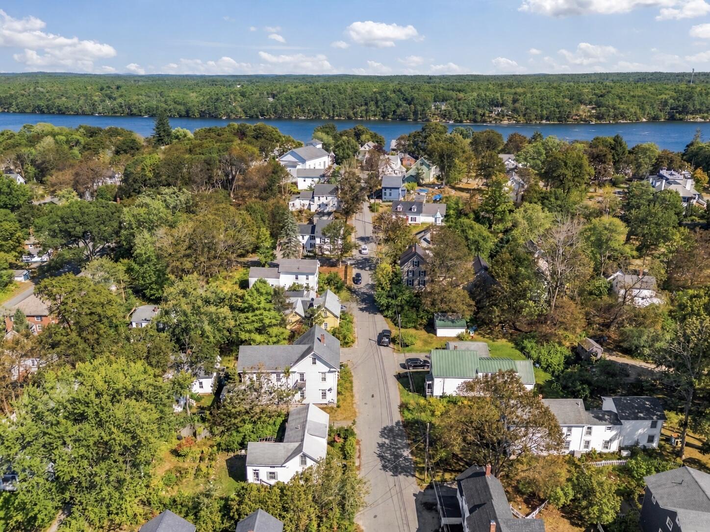 Aerial view of a leafy neighborhood and its street, with a river and wooded hills beyond.