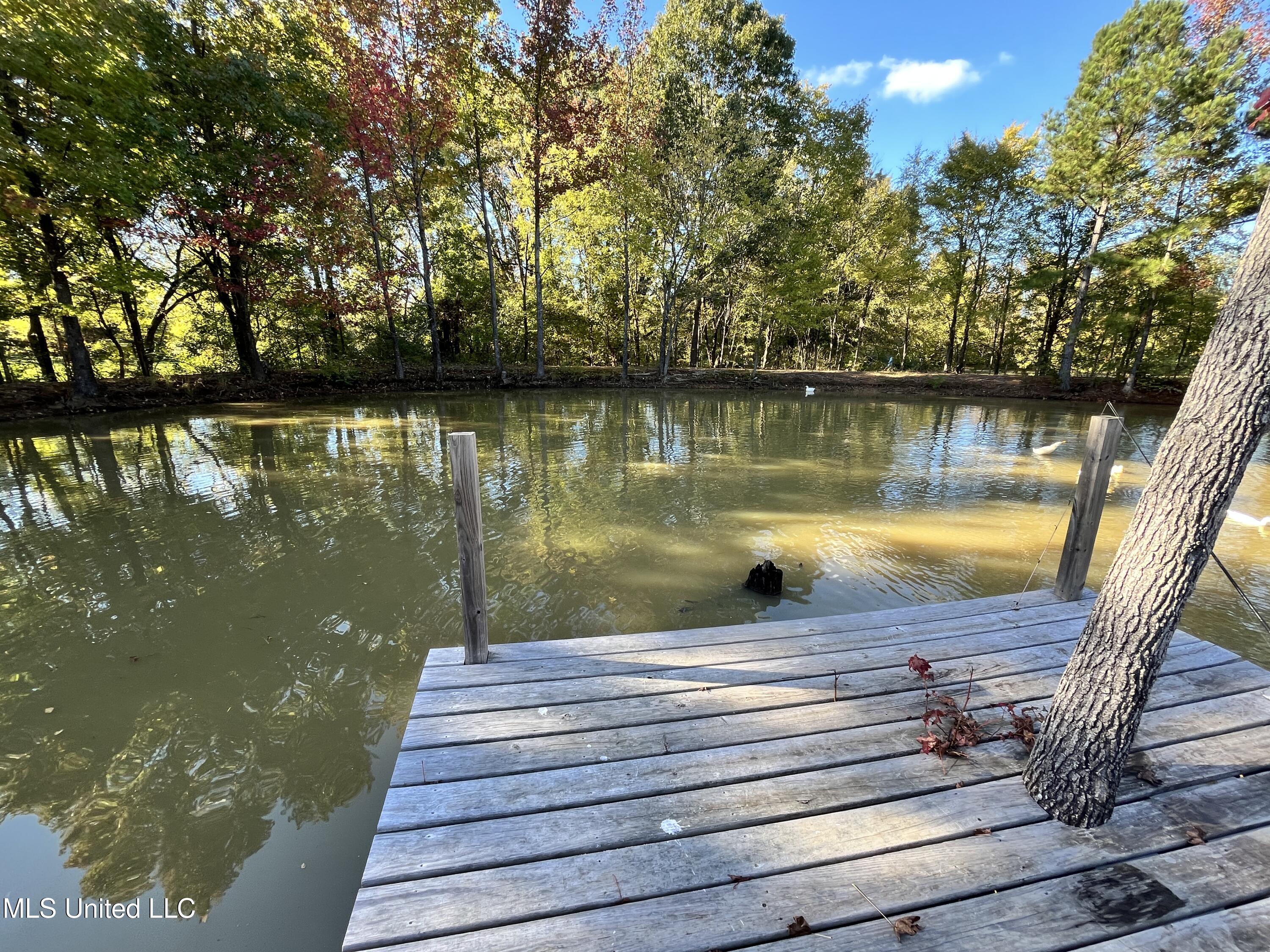 5816 N Rolling Pine Drive