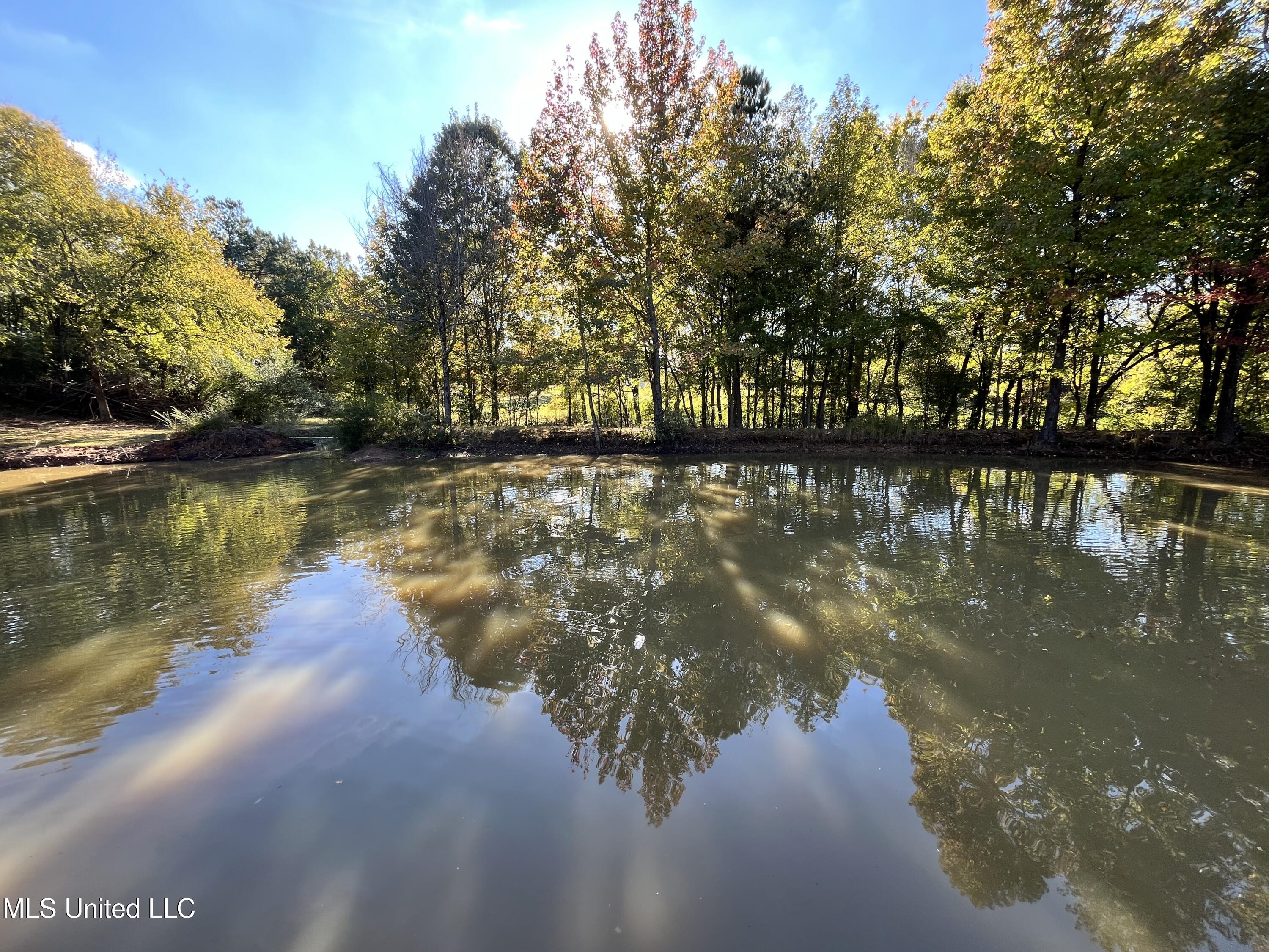 5816 N Rolling Pine Drive