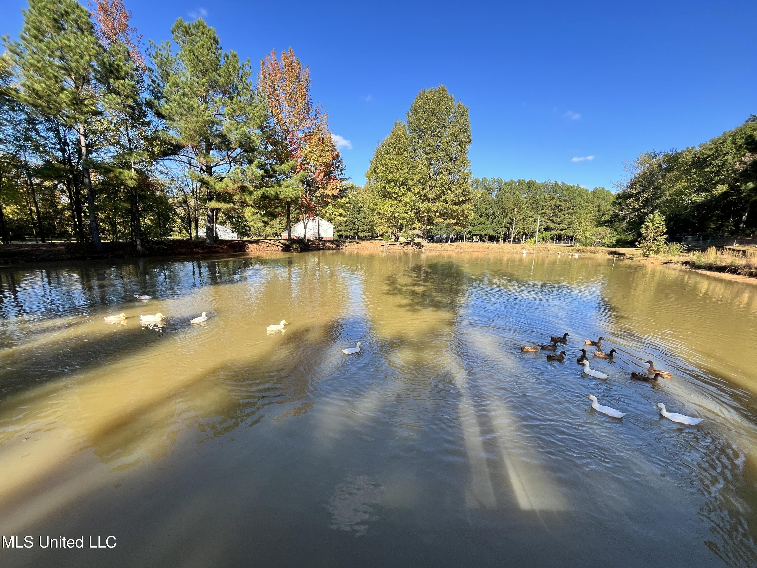 5816 N Rolling Pine Drive