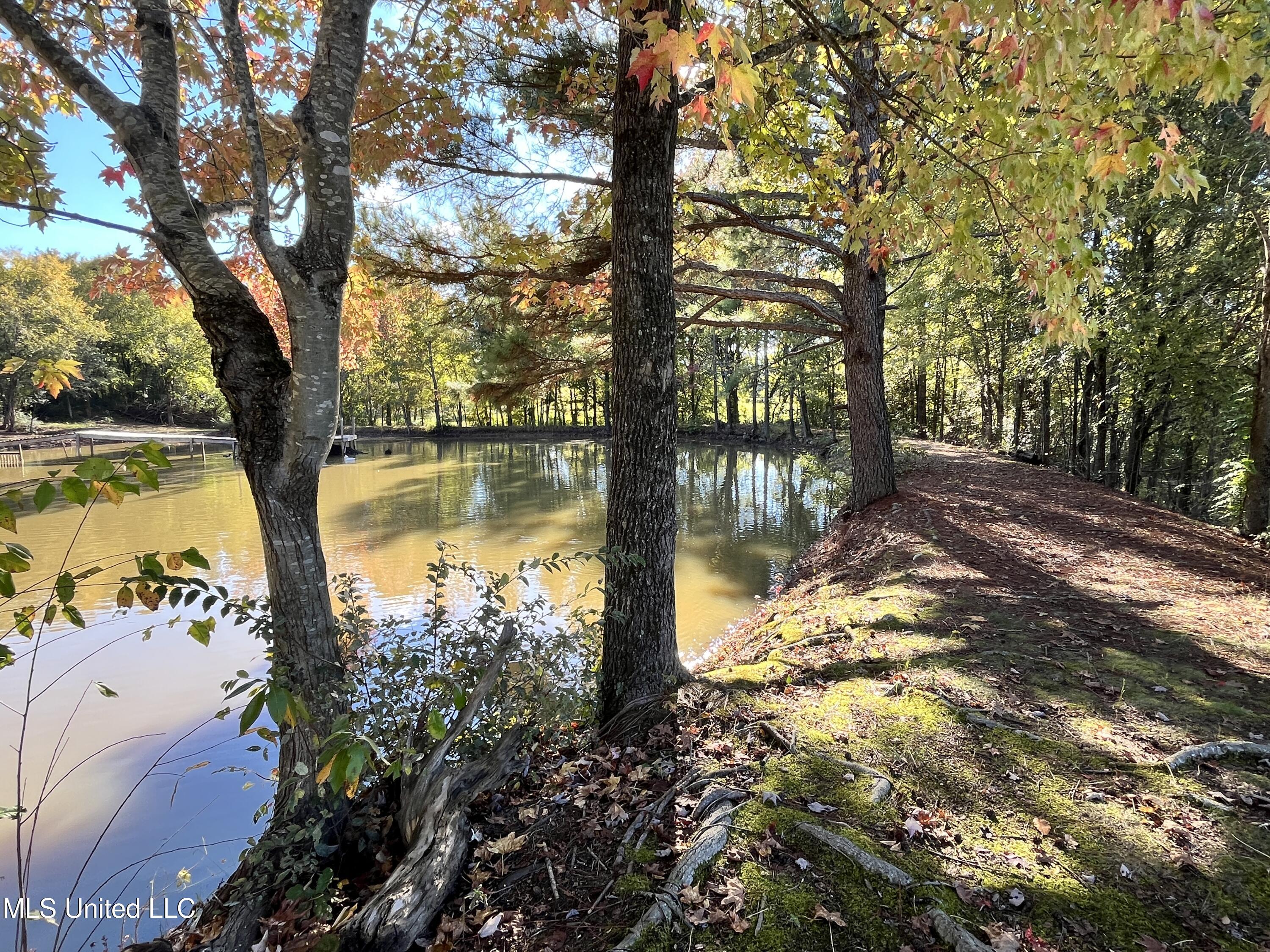 5816 N Rolling Pine Drive