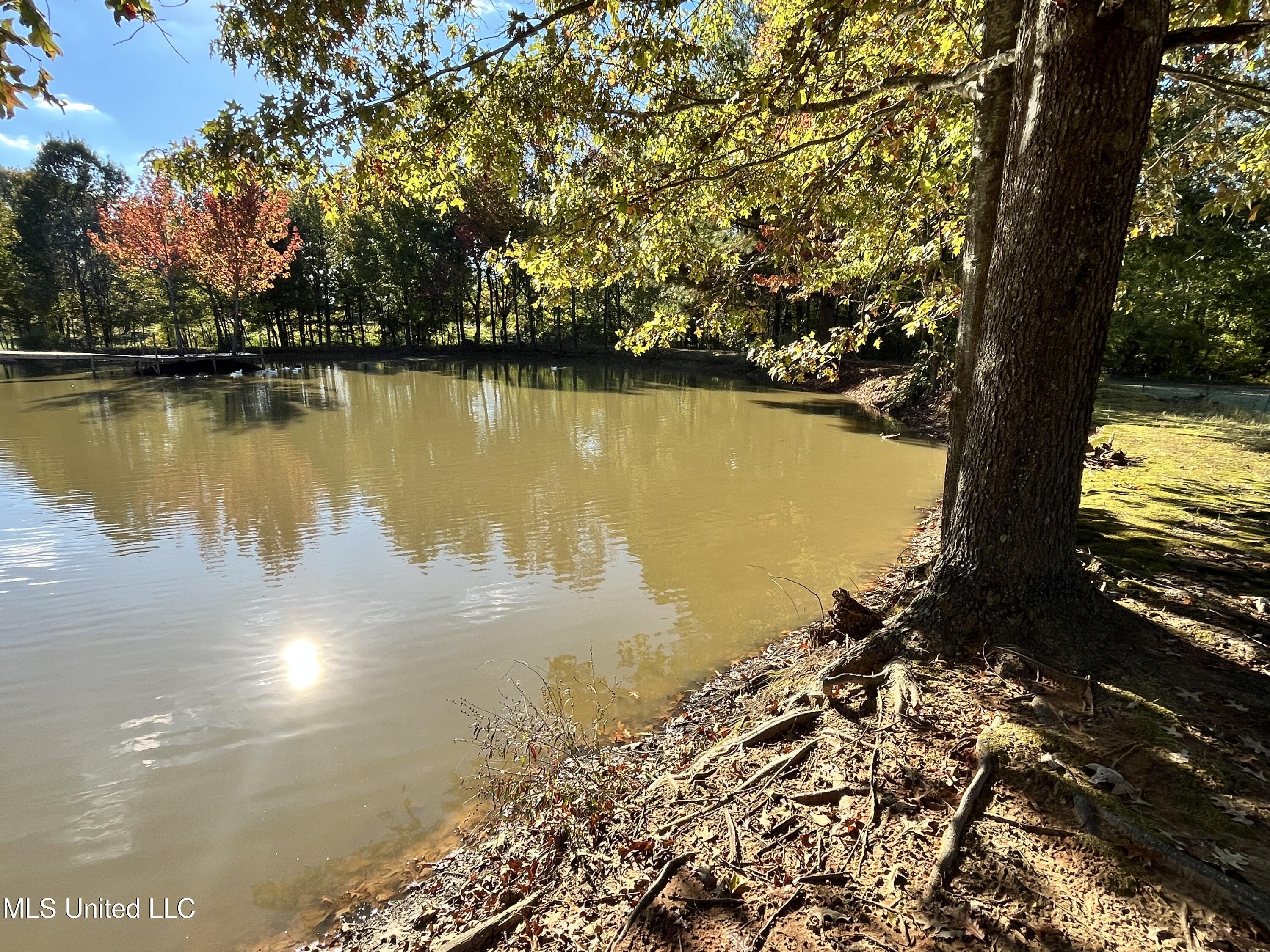 5816 N Rolling Pine Drive