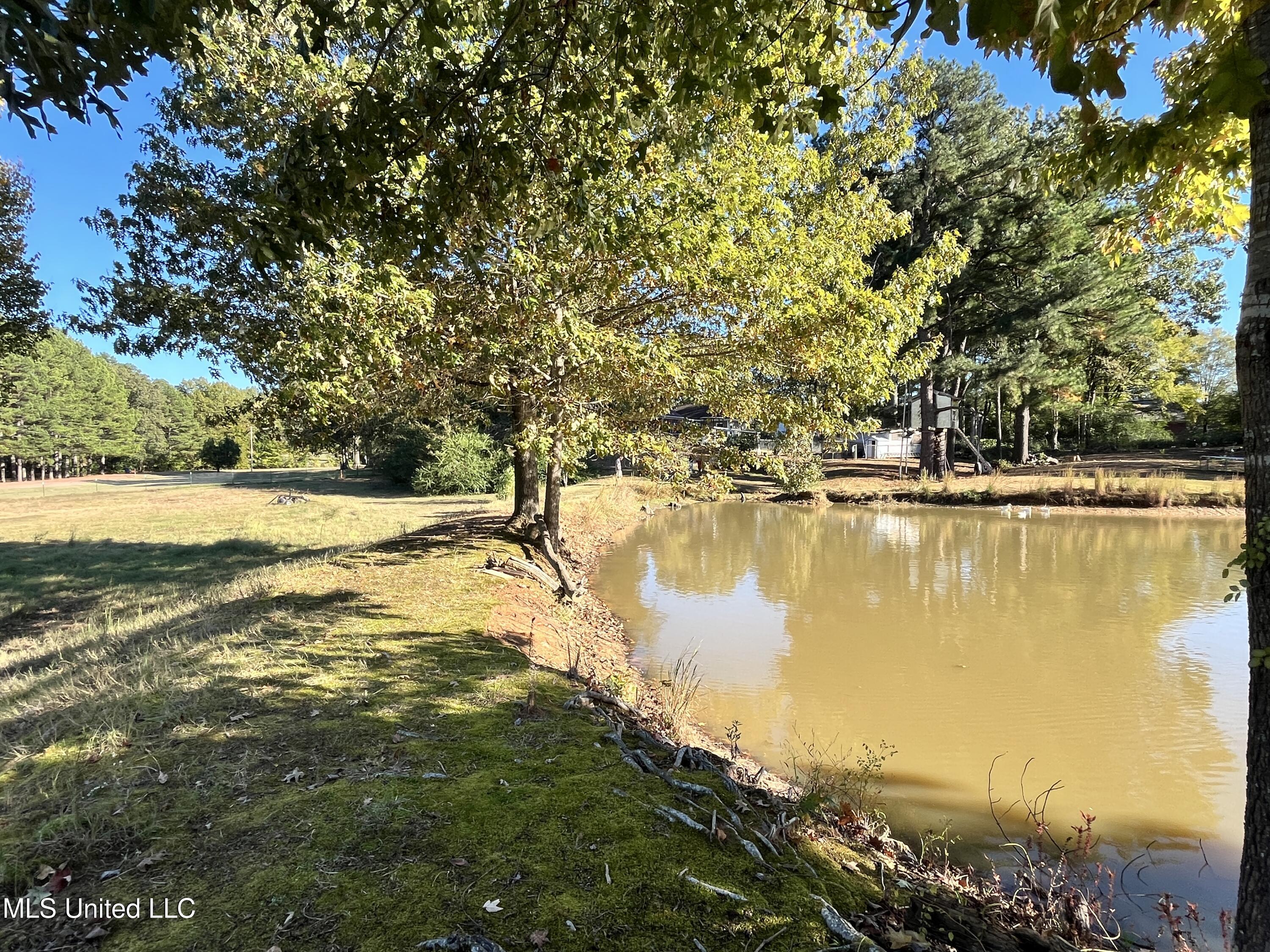 5816 N Rolling Pine Drive