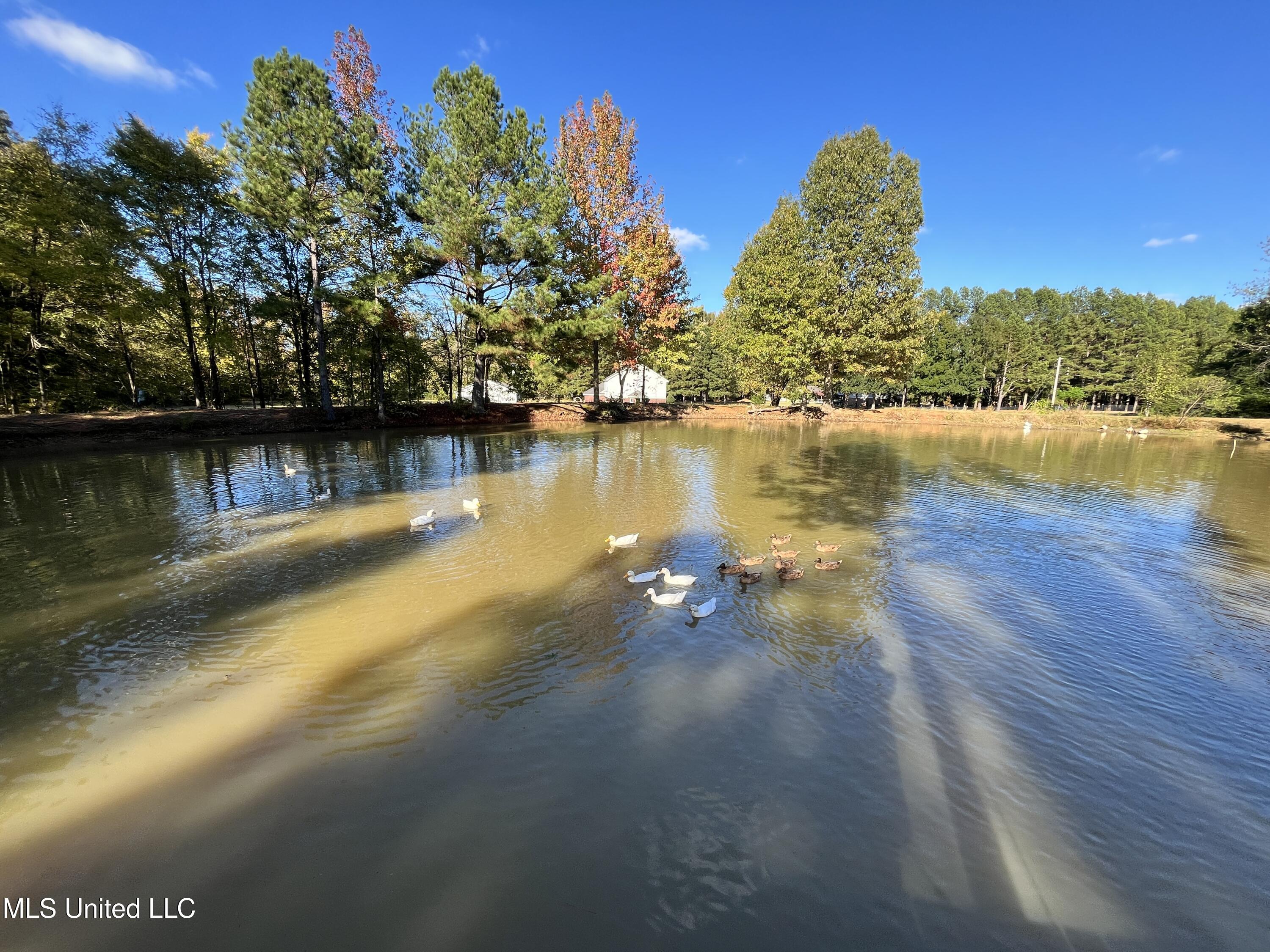 5816 N Rolling Pine Drive