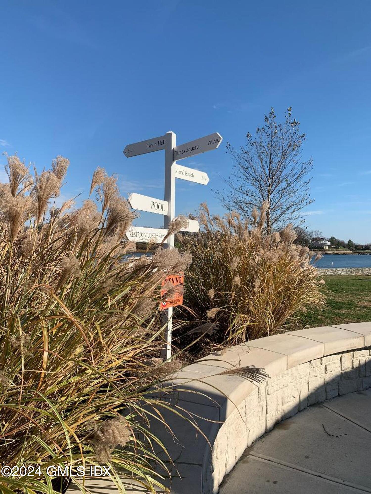 81 View Street West, Back