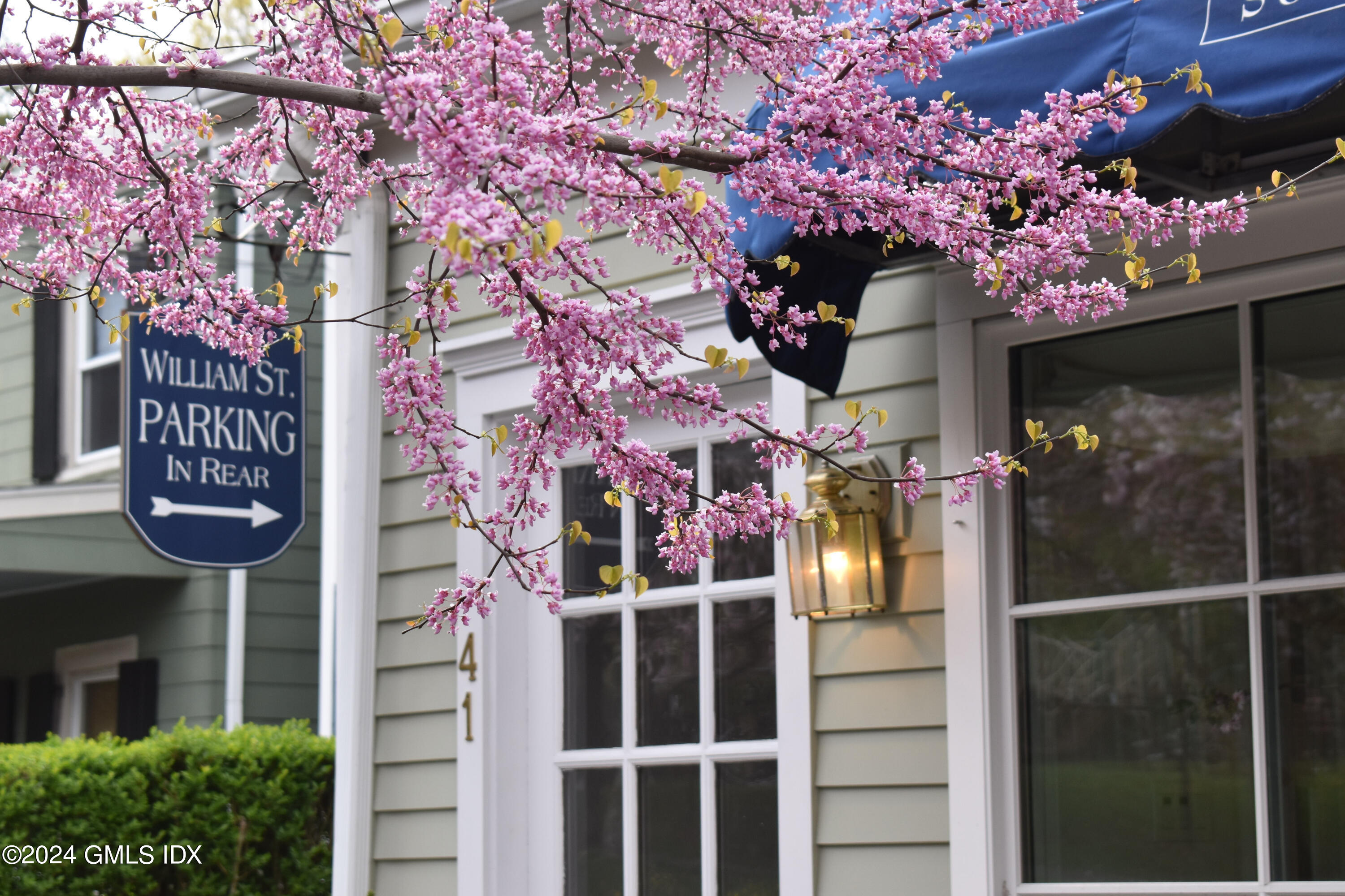 41 William Street, 2