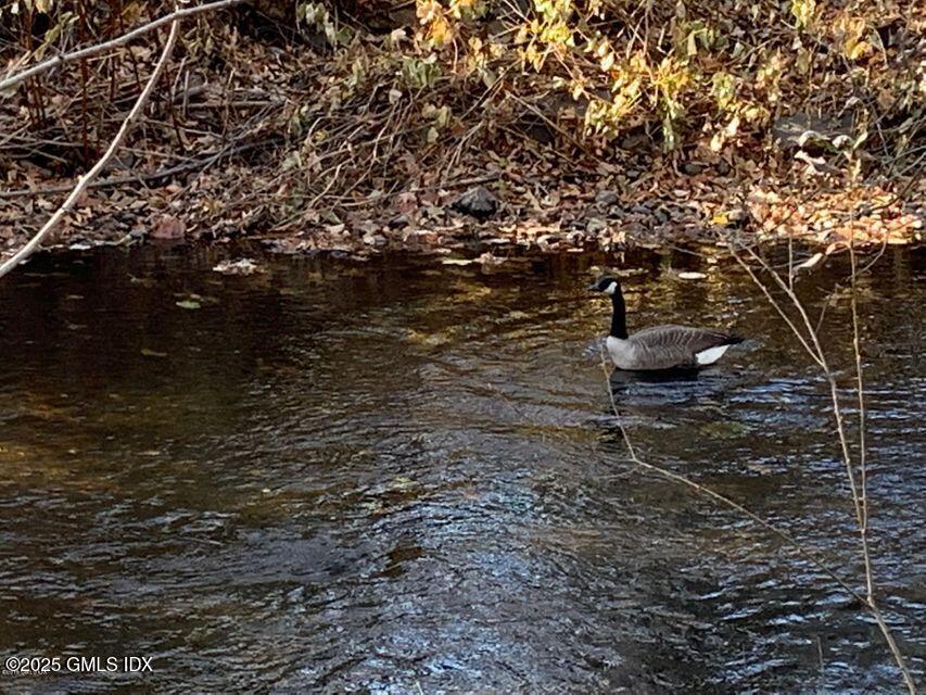 18 Hollow Wood Lane, D