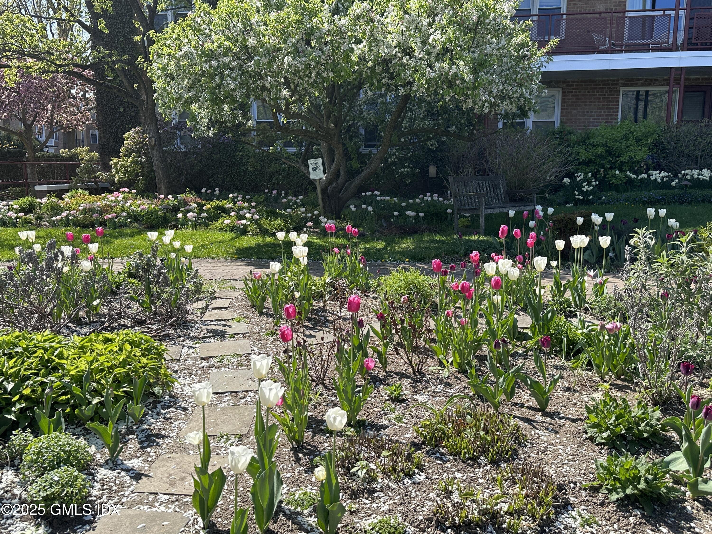 20 Brookside Drive, 3D