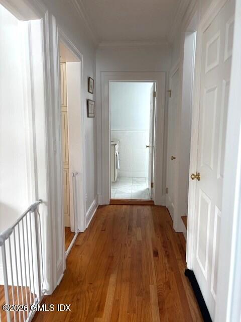 36 Locust Street 2