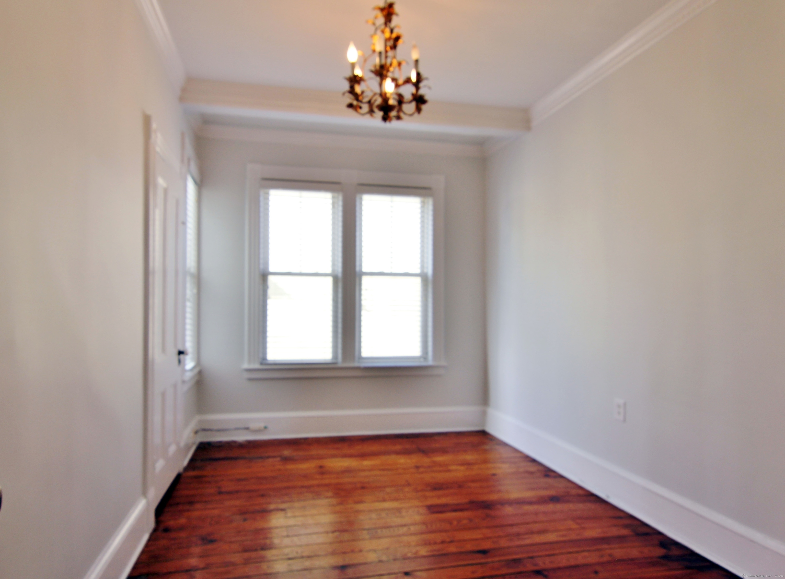 11 Dolsen Place 1