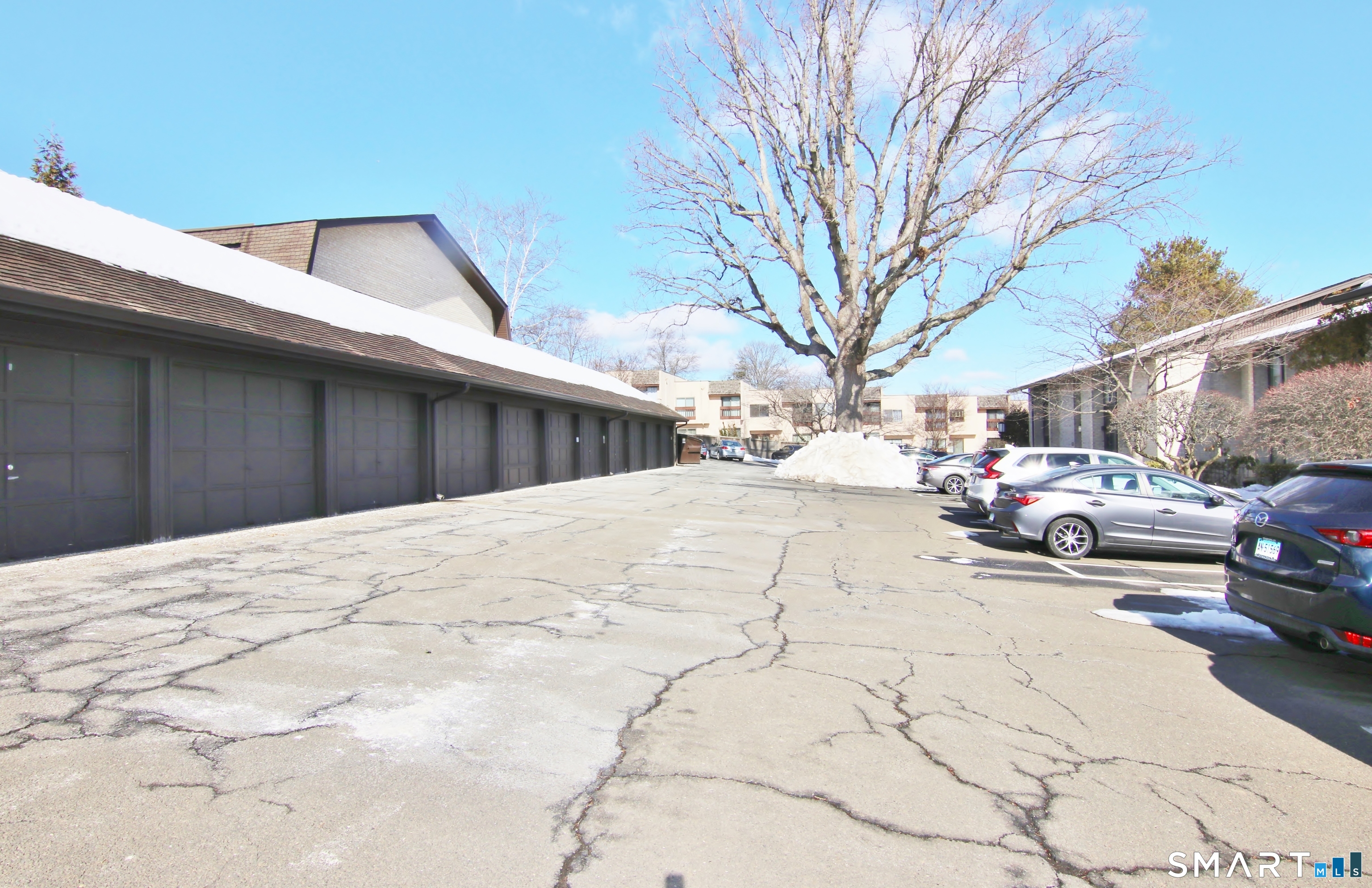 81 Courtland Avenue 81-07