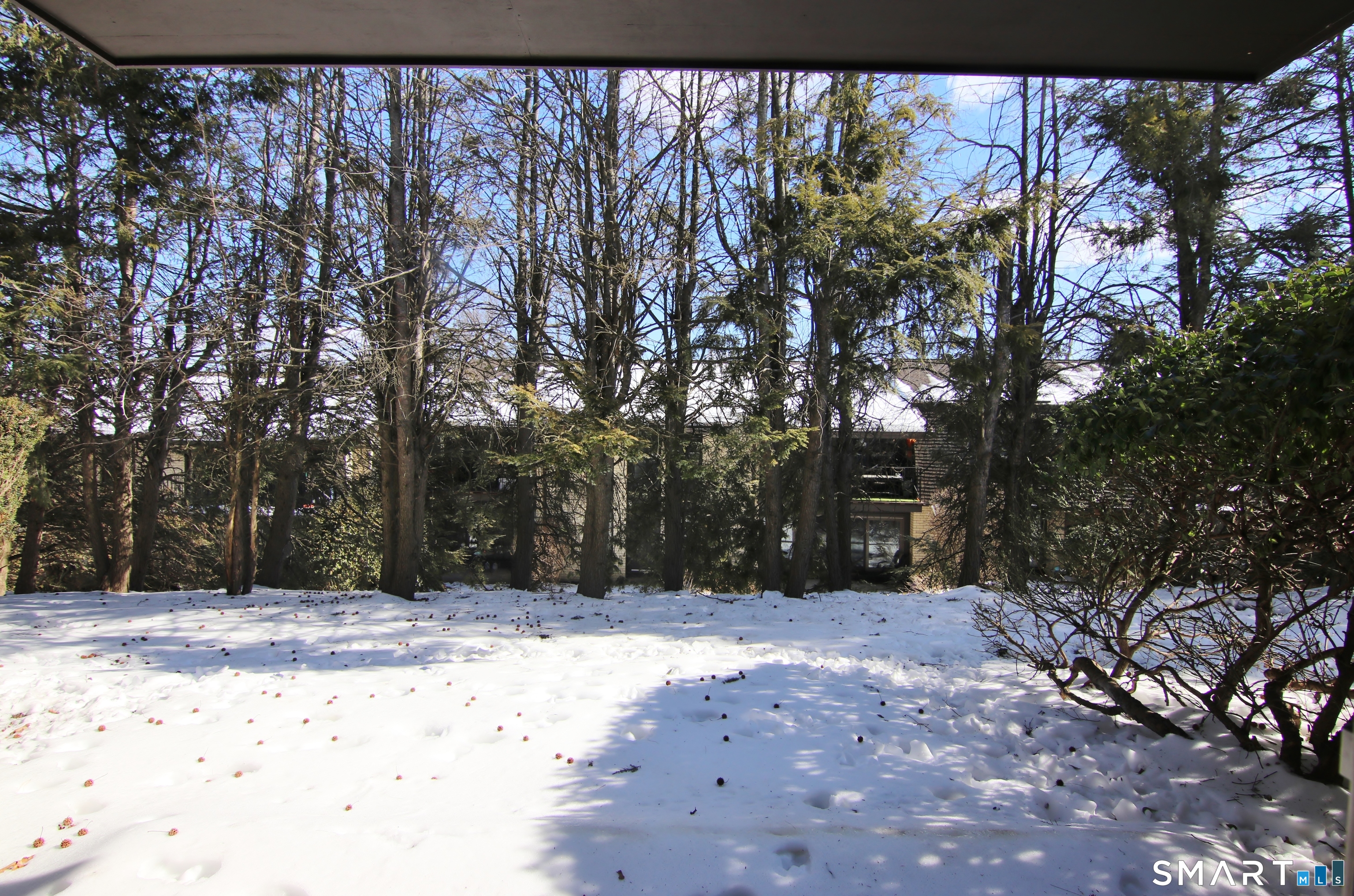 81 Courtland Avenue 81-07