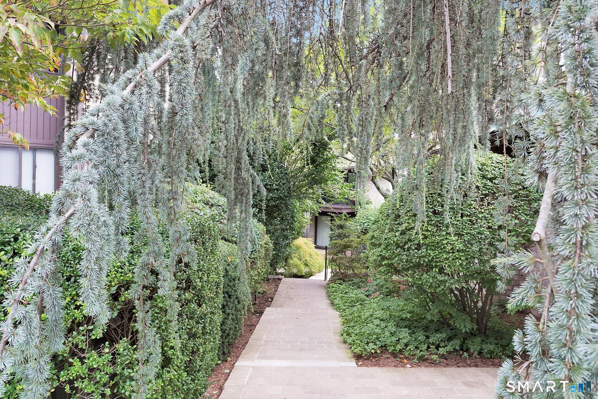 81 Courtland Avenue 81-07