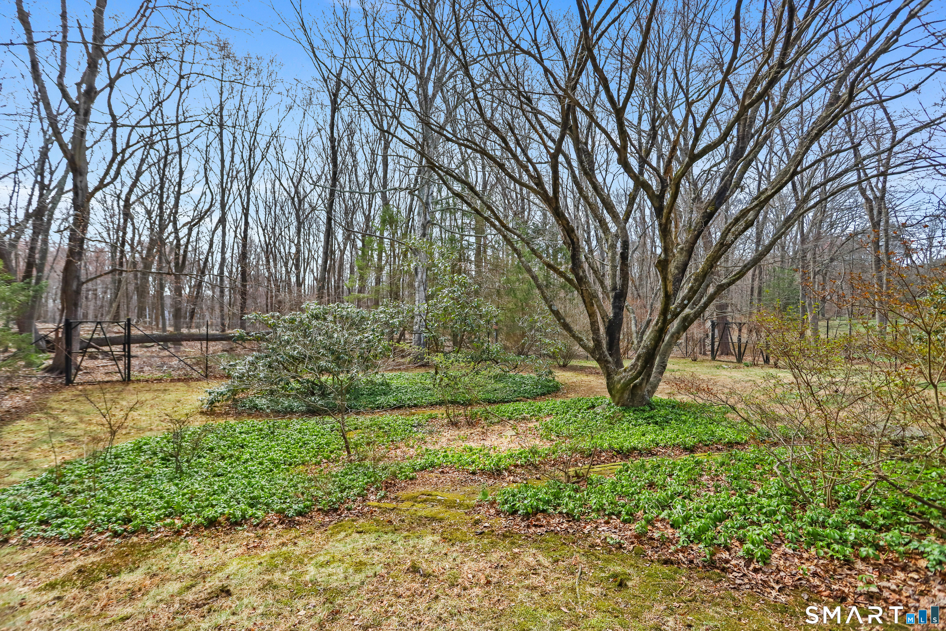 35 Orchard Drive