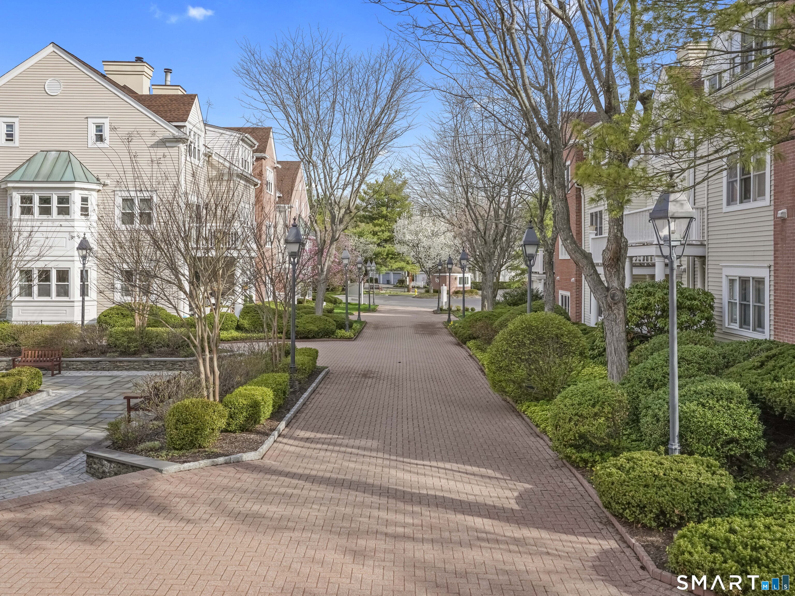 51 Forest Avenue 23