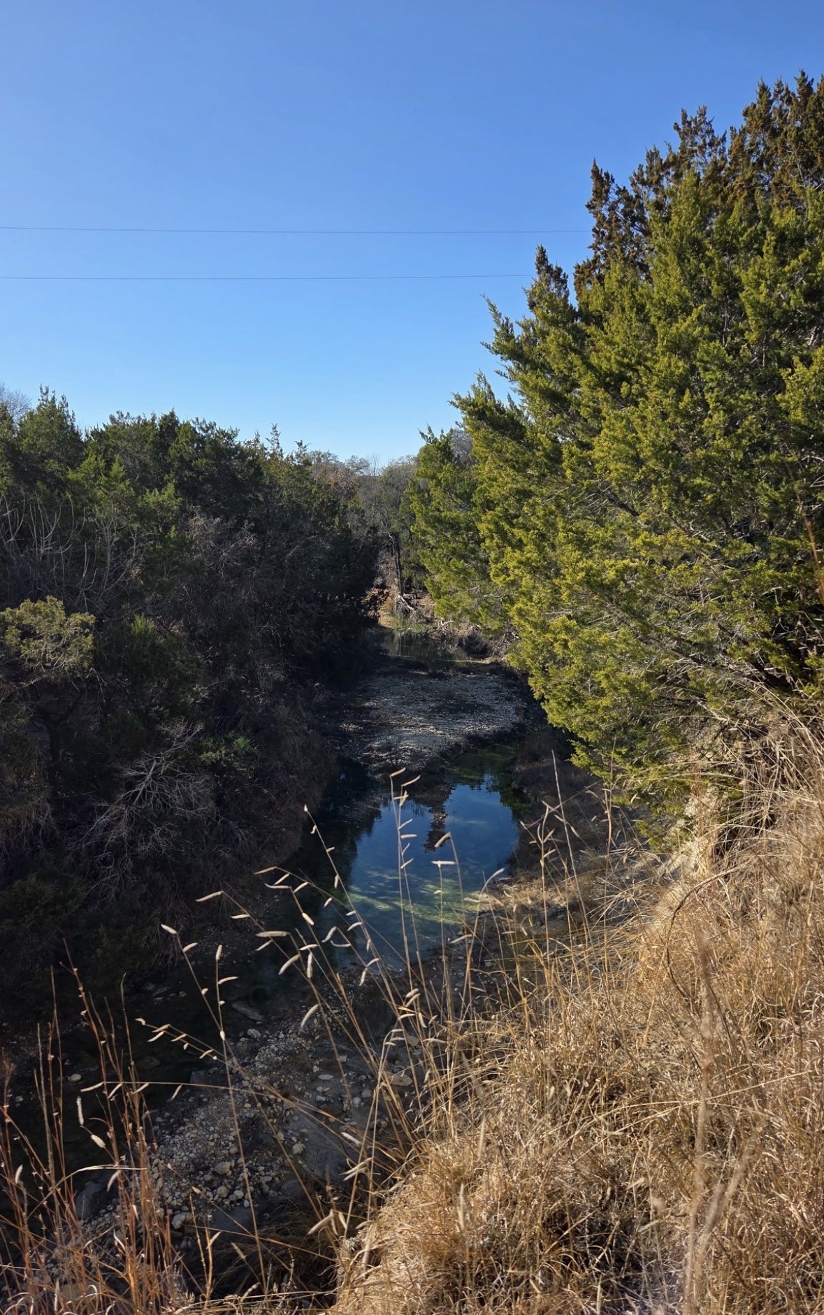 TBD County road 4195