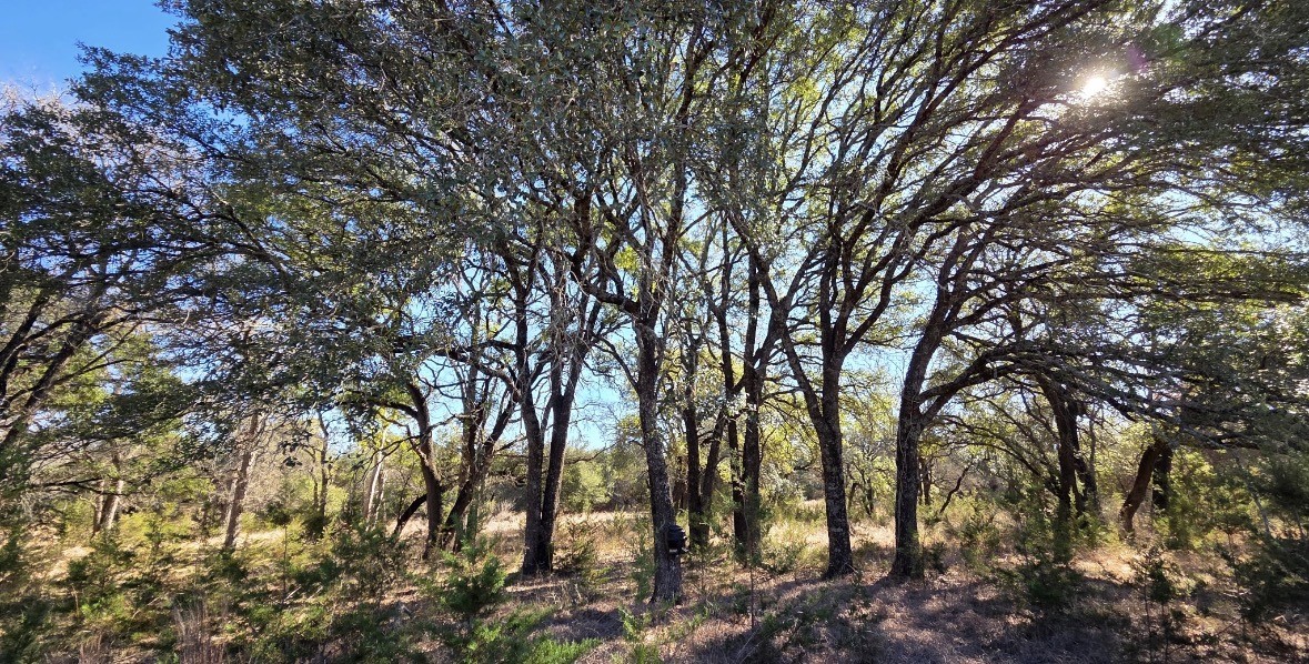TBD County road 4195