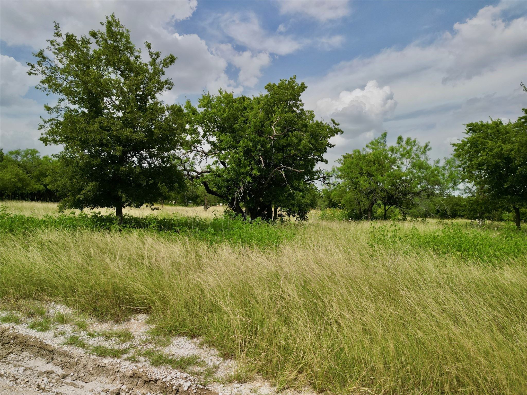 TBD Private Road 226