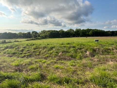 TBD Hill Creek Lane