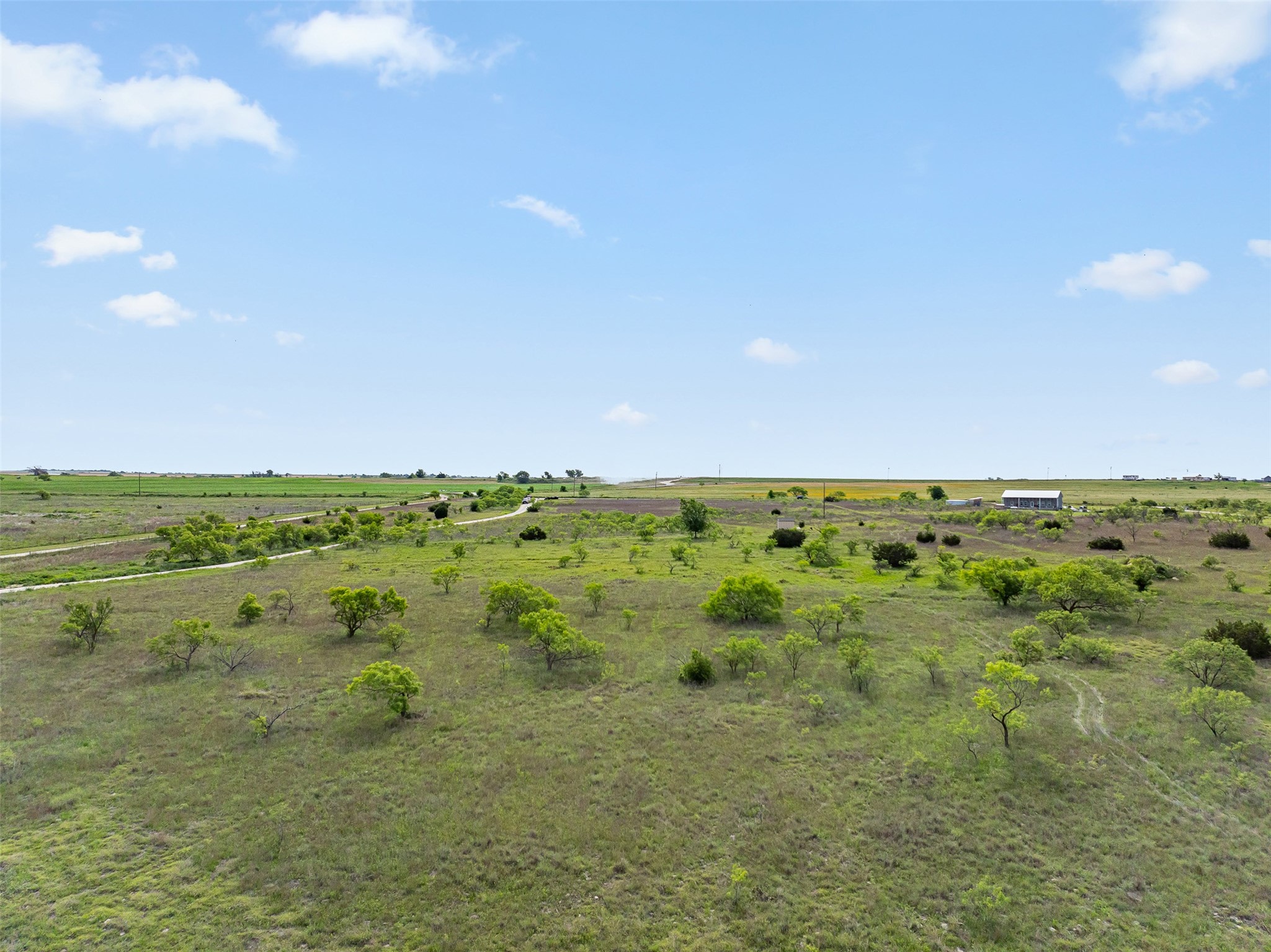 5990 Farm Road 1241