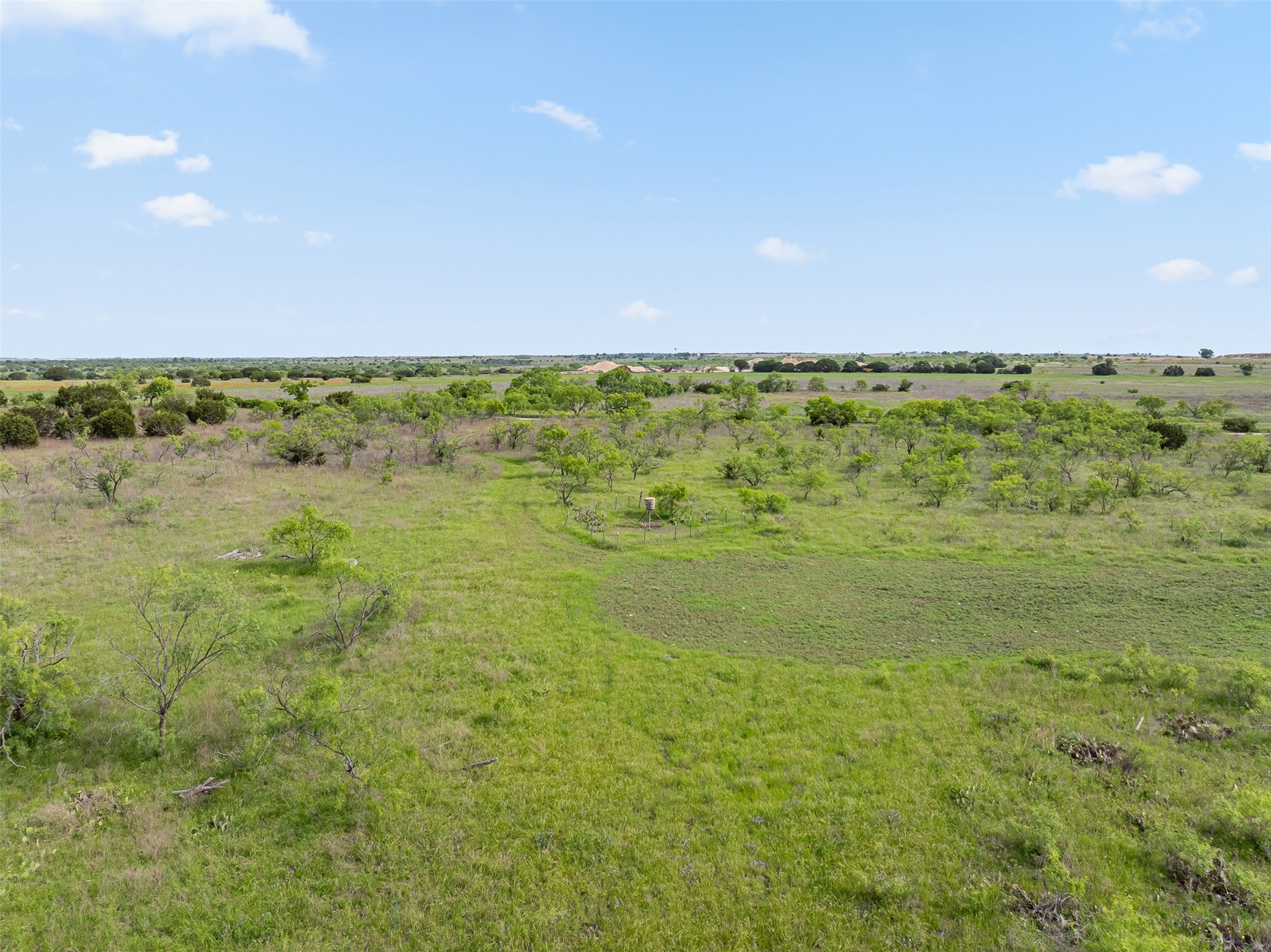 5990 Farm Road 1241