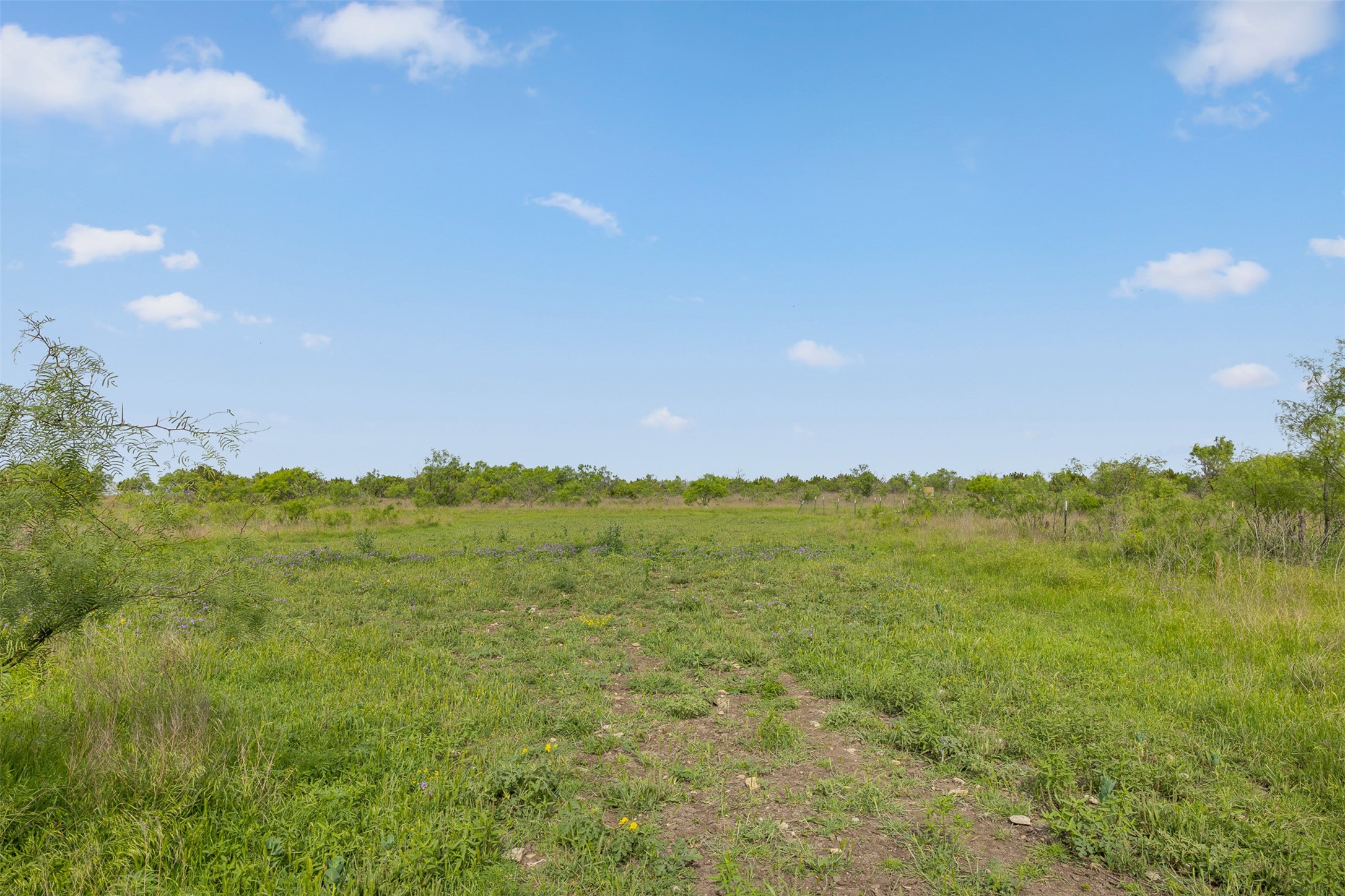 5990 Farm Road 1241