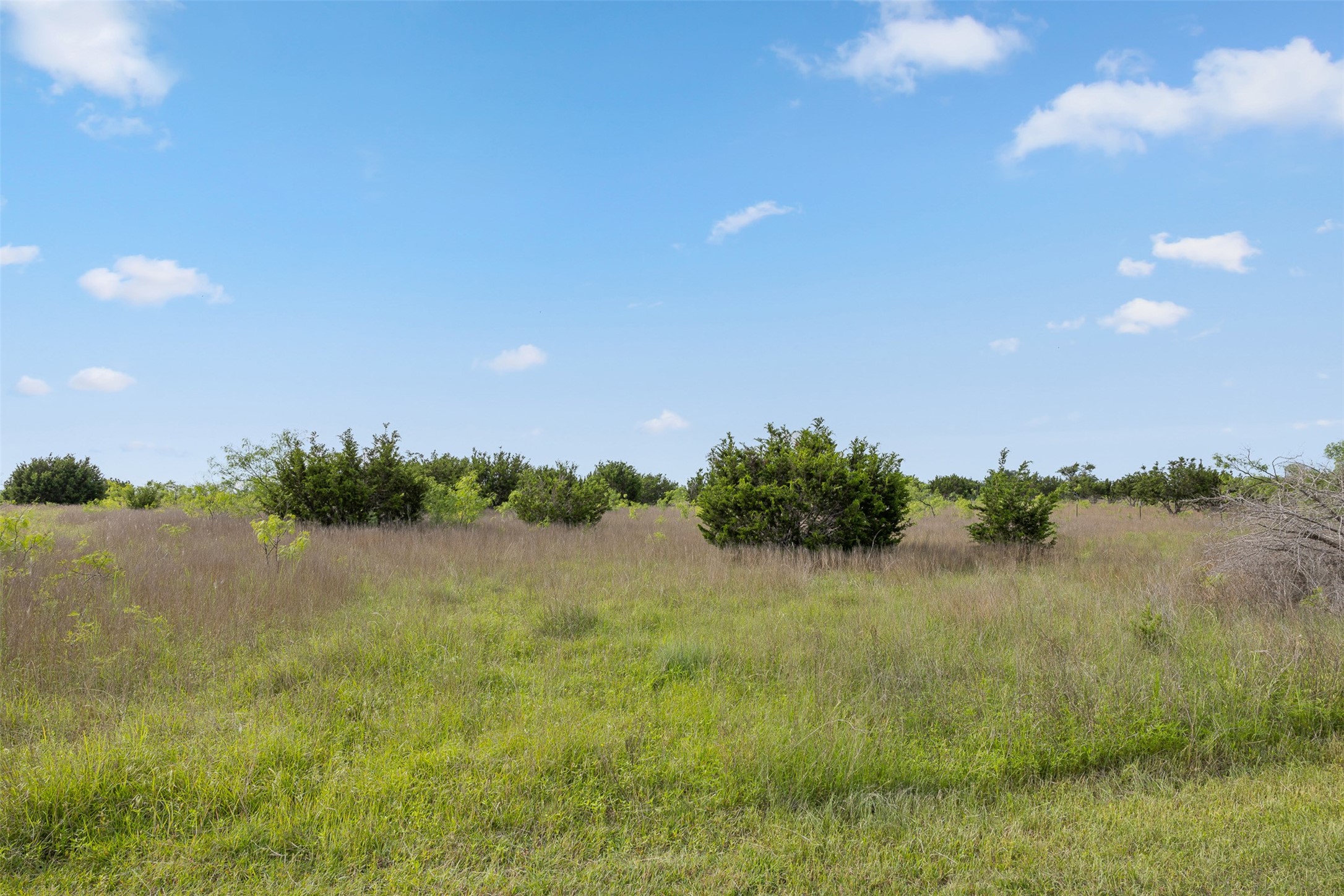 5990 Farm Road 1241