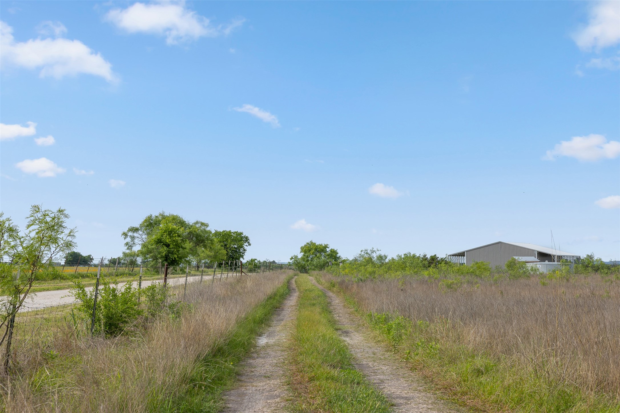 5990 Farm Road 1241