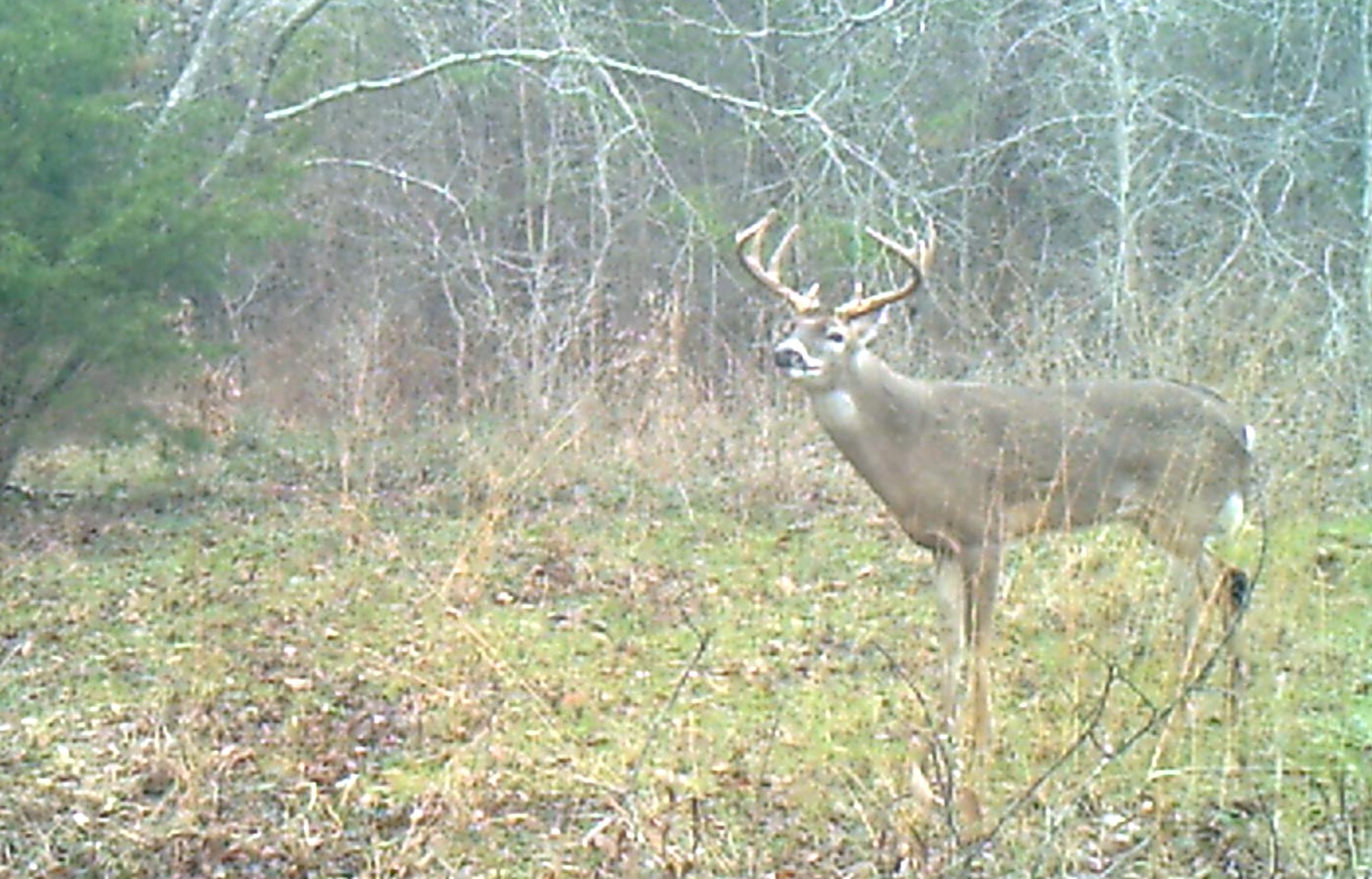 3324 County Road 3206