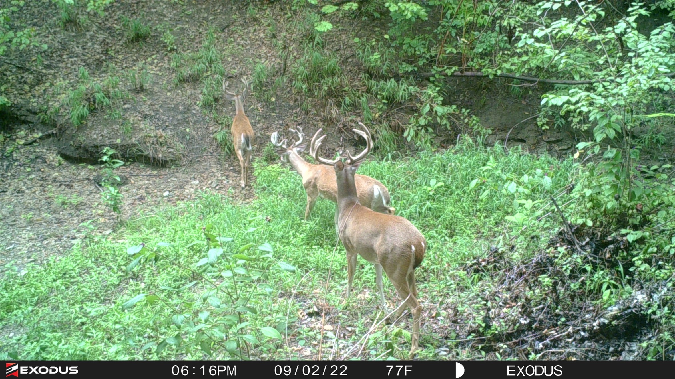 3324 County Road 3206
