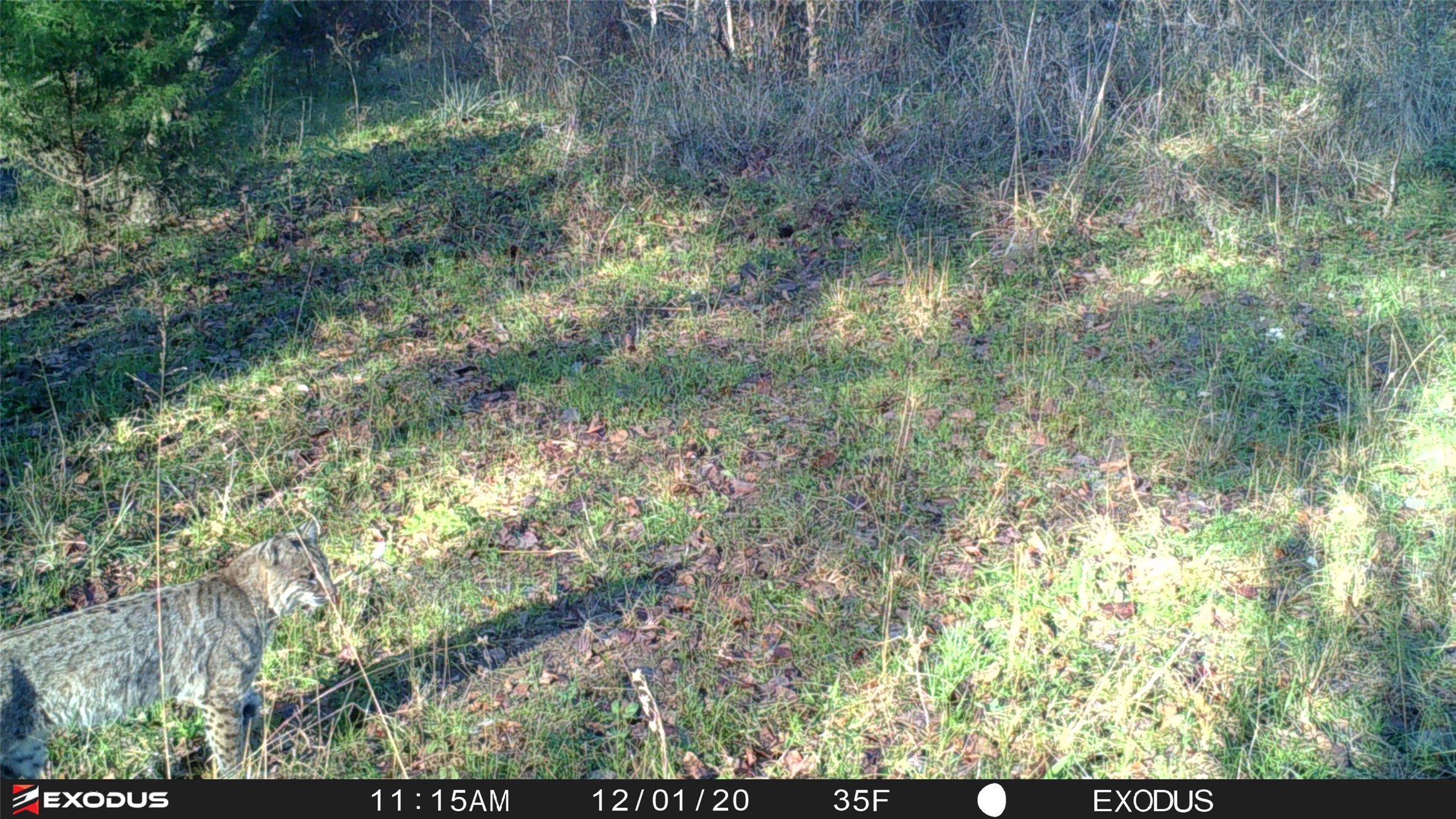 3324 County Road 3206