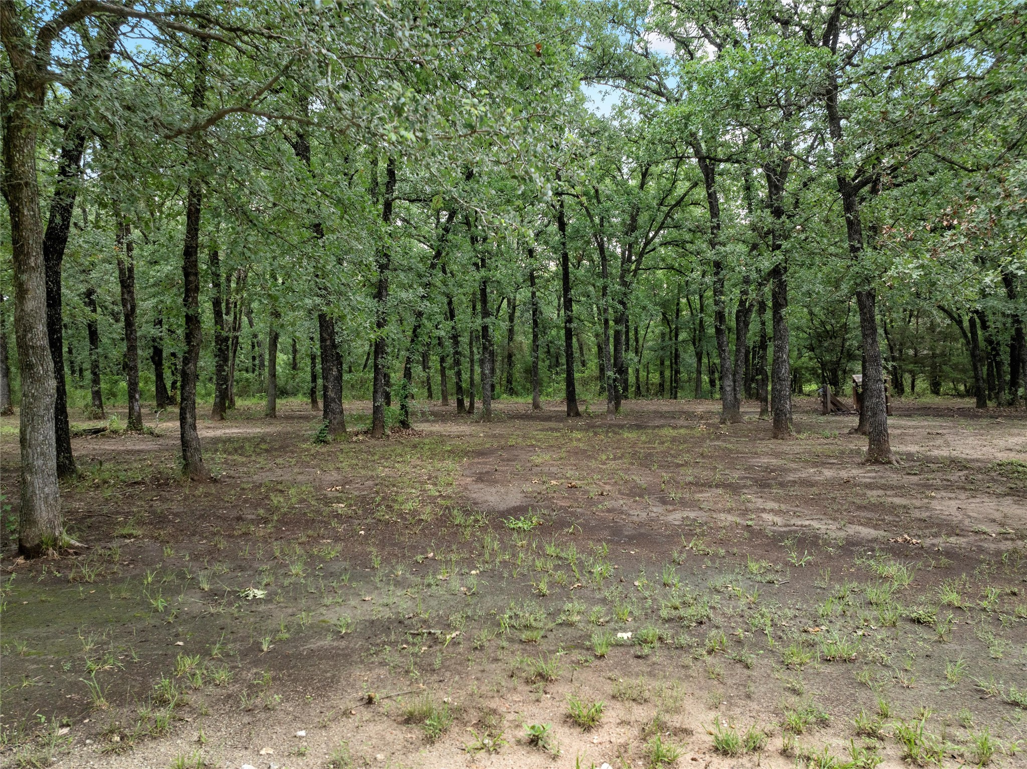 16572 Gholson Road